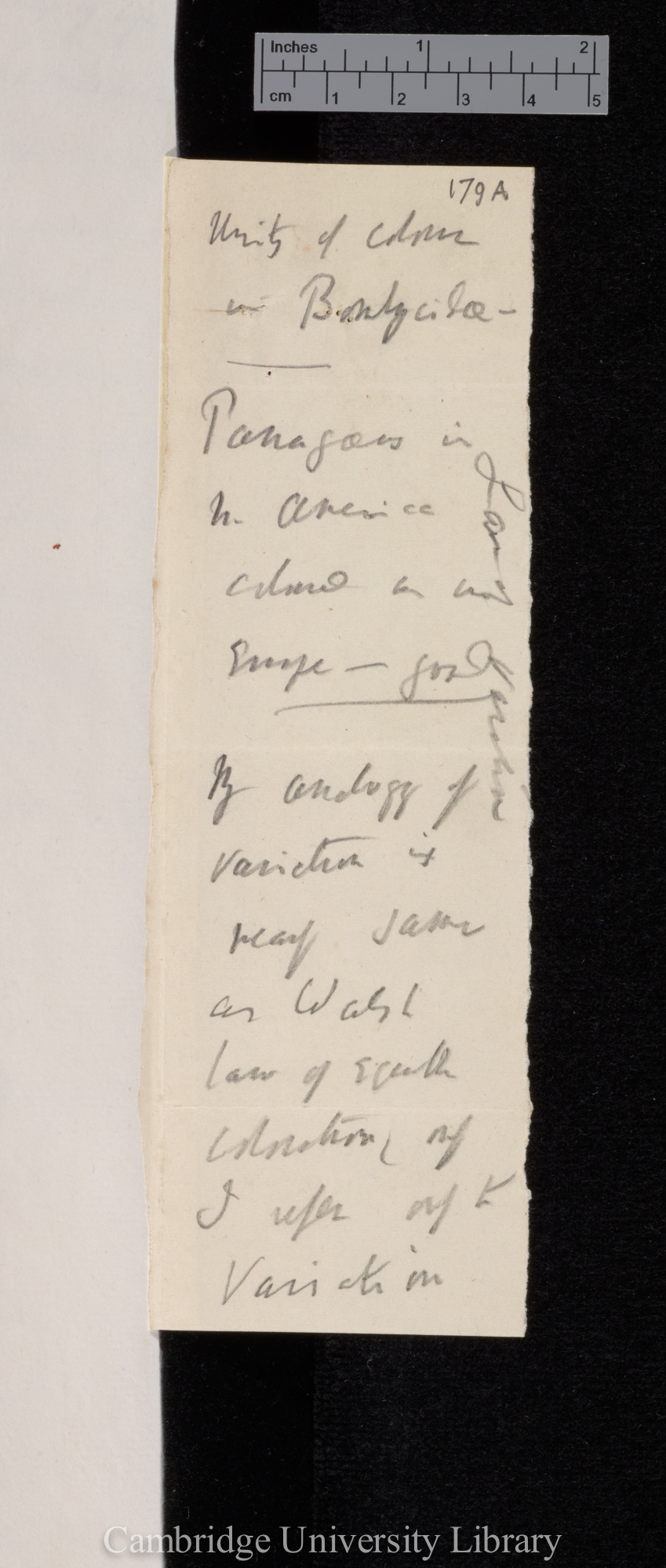 Benjamin Dann Walsh to Charles Robert Darwin [note by CD]