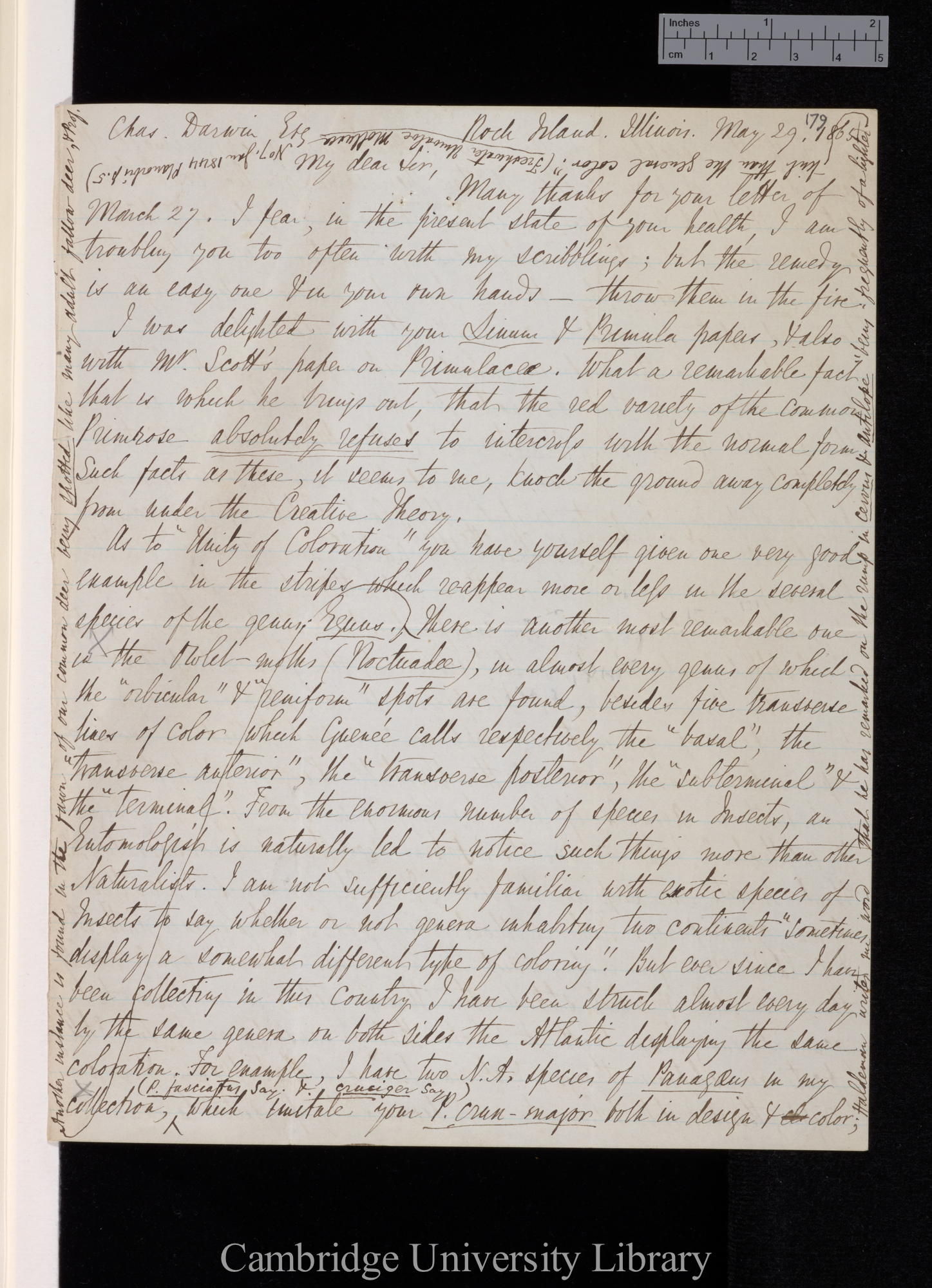 Benjamin Dann Walsh to Charles Robert Darwin