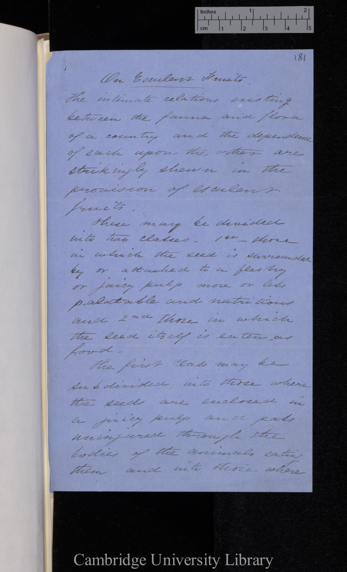 [Thomas Belt] to Charles Robert Darwin