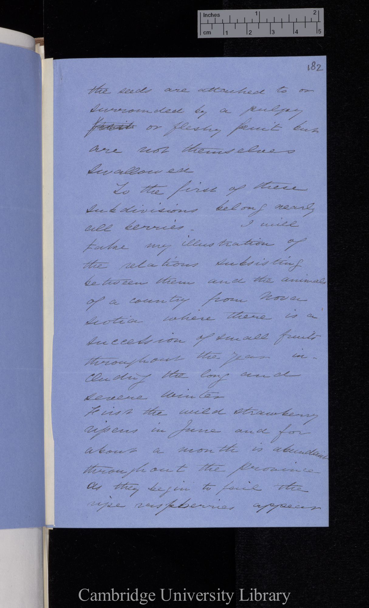 [Thomas Belt] to Charles Robert Darwin