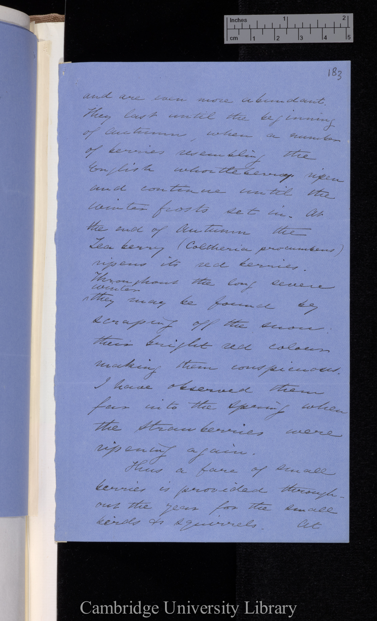 [Thomas Belt] to Charles Robert Darwin