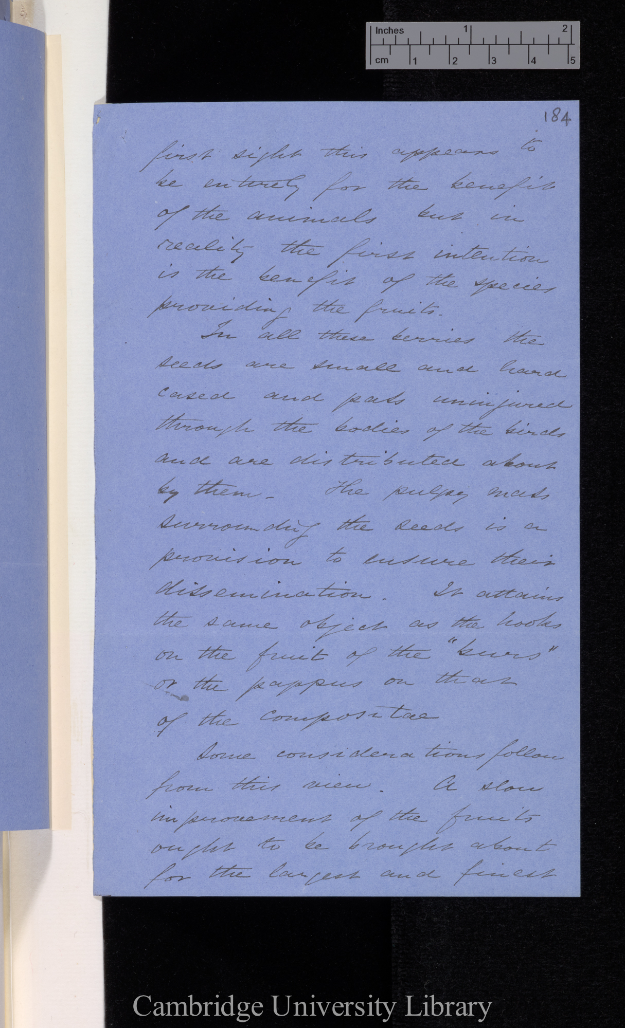 [Thomas Belt] to Charles Robert Darwin