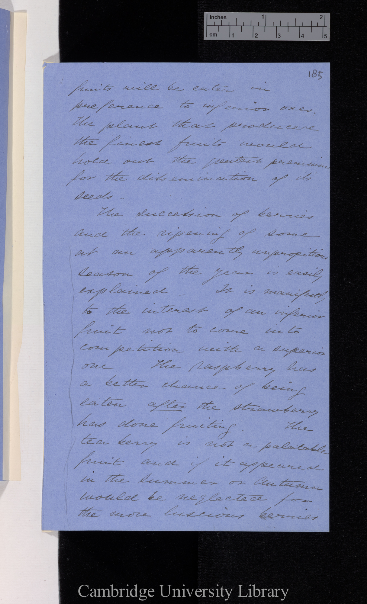 [Thomas Belt] to Charles Robert Darwin