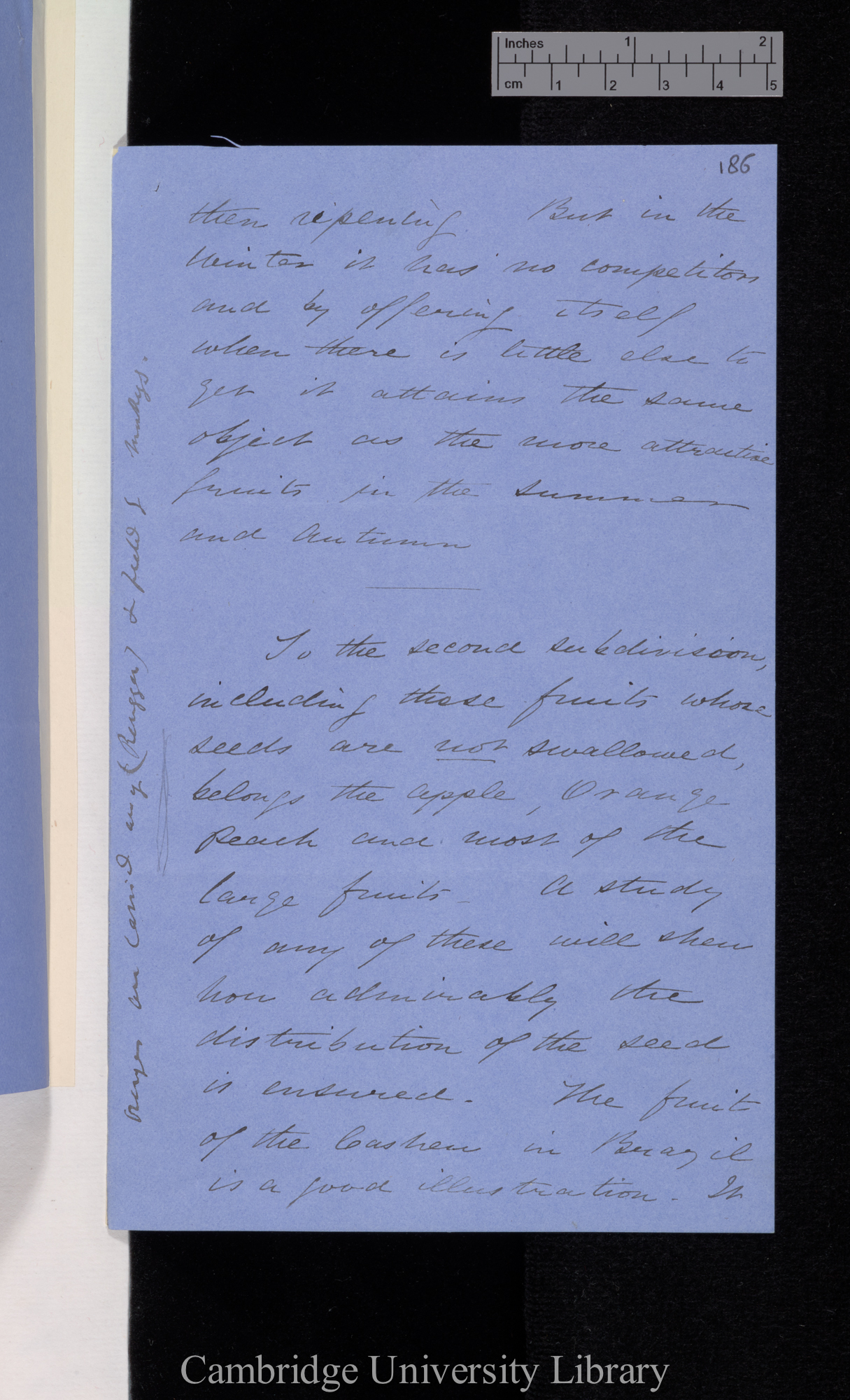 [Thomas Belt] to Charles Robert Darwin