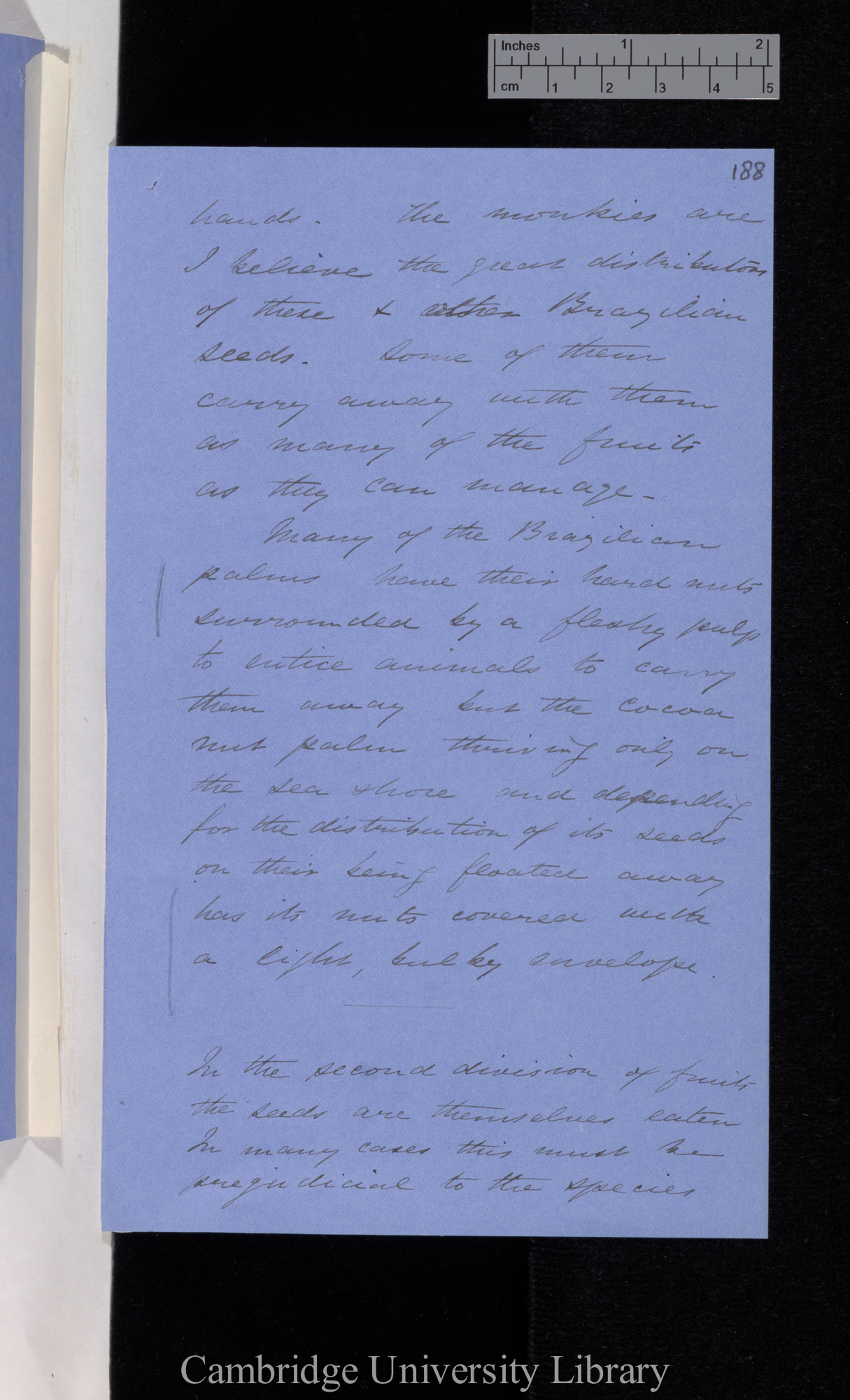 [Thomas Belt] to Charles Robert Darwin