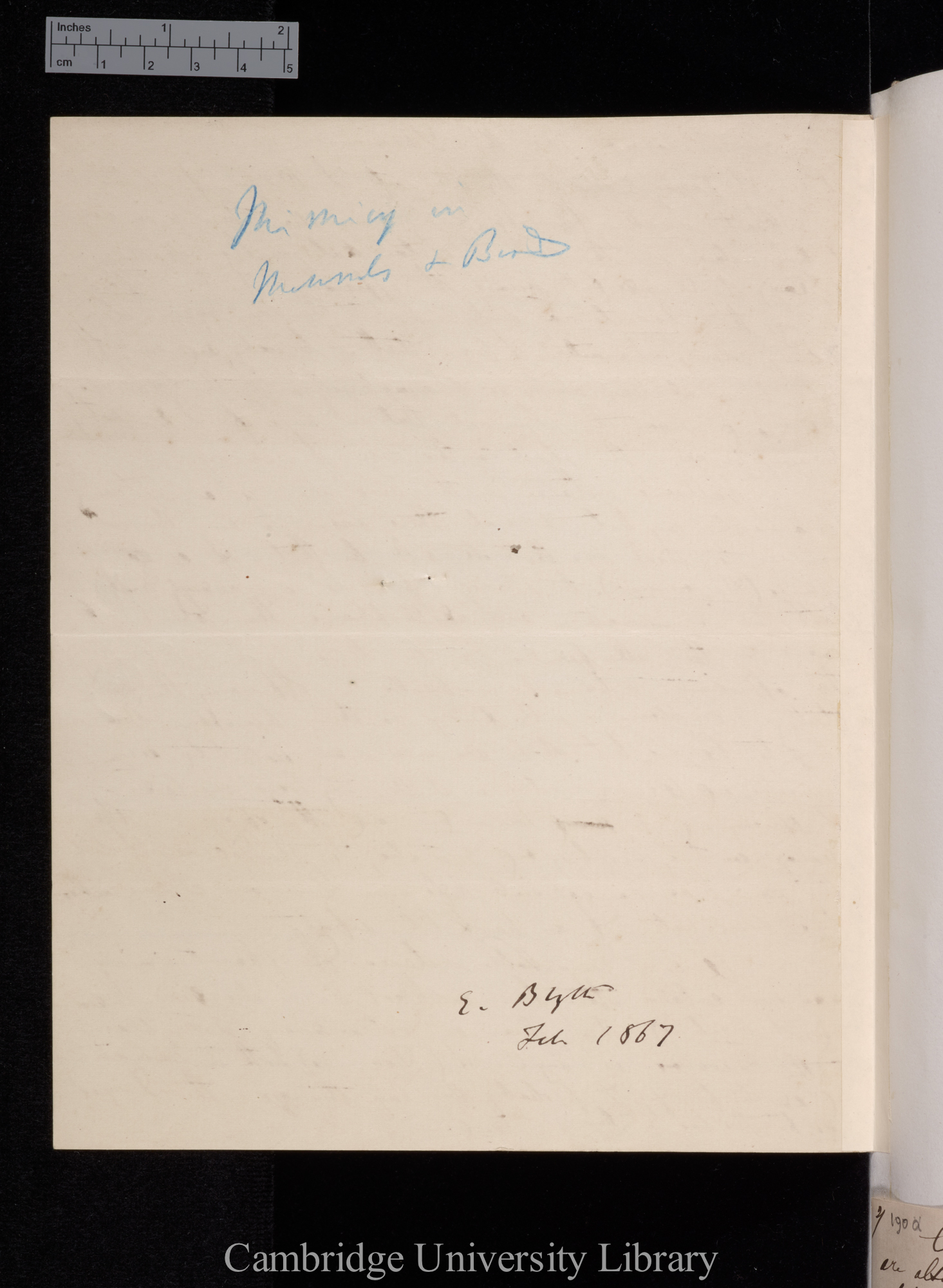 Edward Blyth to Charles Robert Darwin