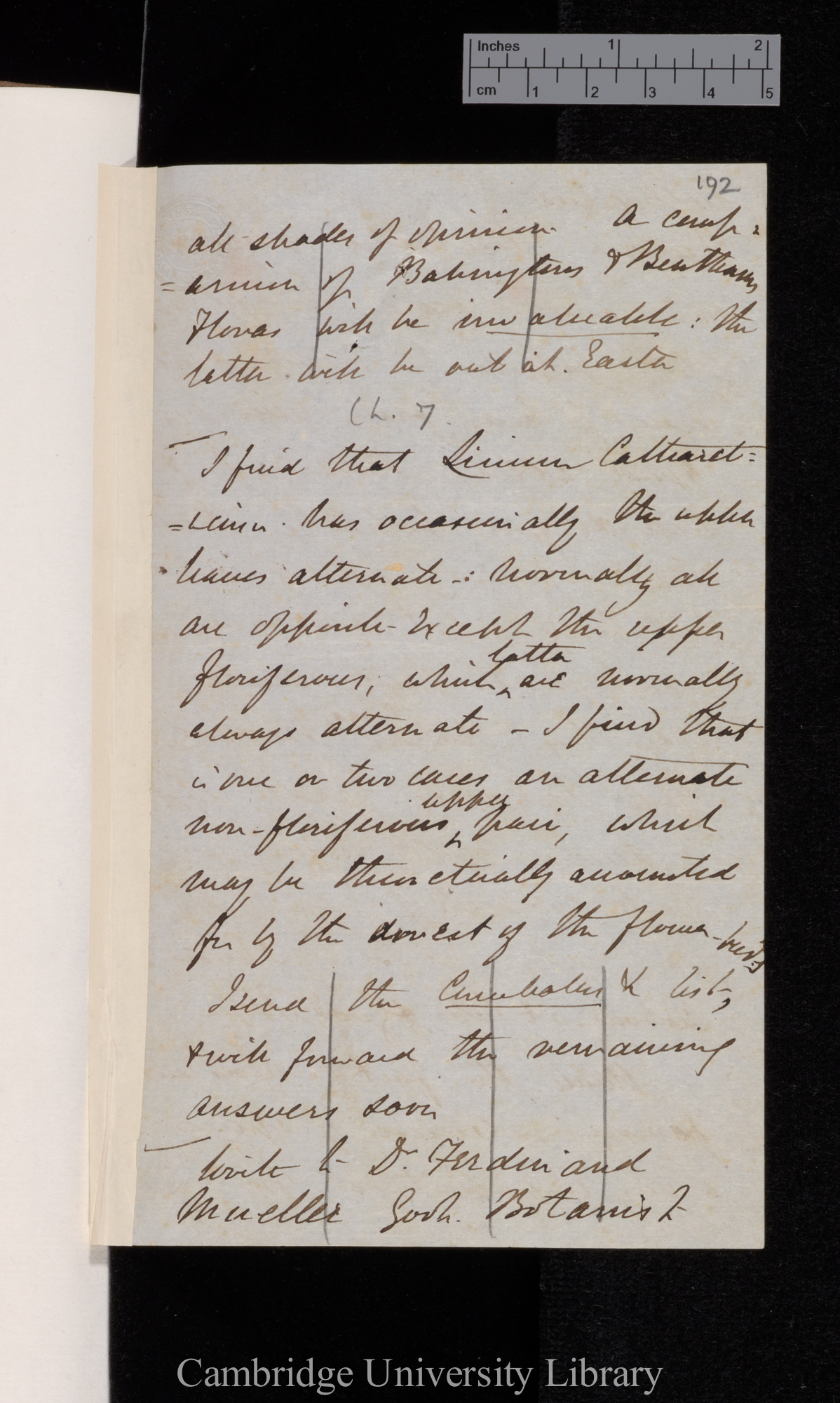 [Sir Joseph Dalton Hooker] to Charles Robert Darwin