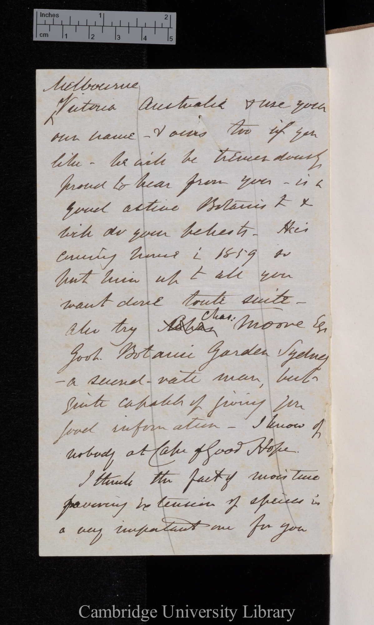 [Sir Joseph Dalton Hooker] to Charles Robert Darwin