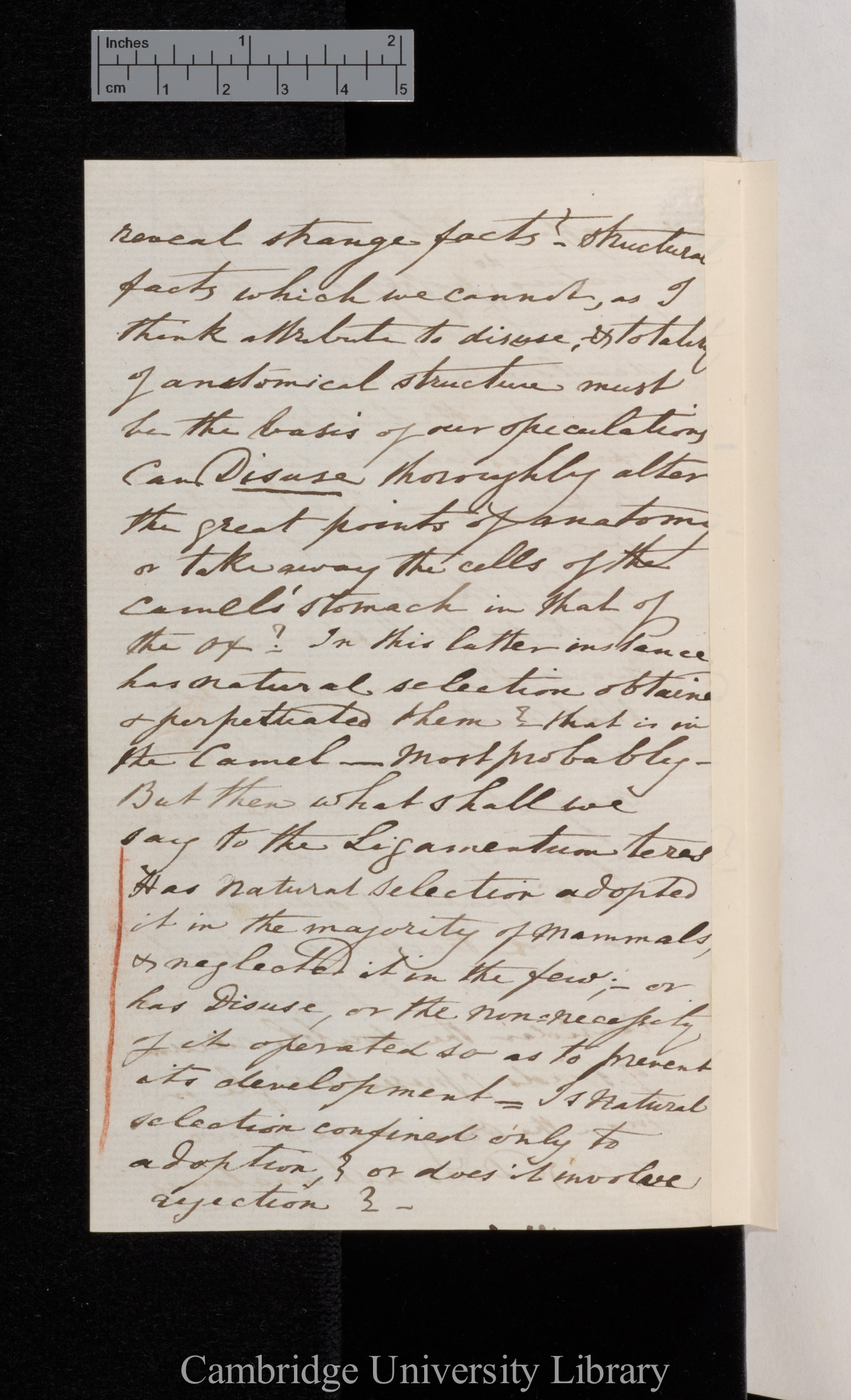 [William Charles Linnaeus Martin] to Charles Robert Darwin