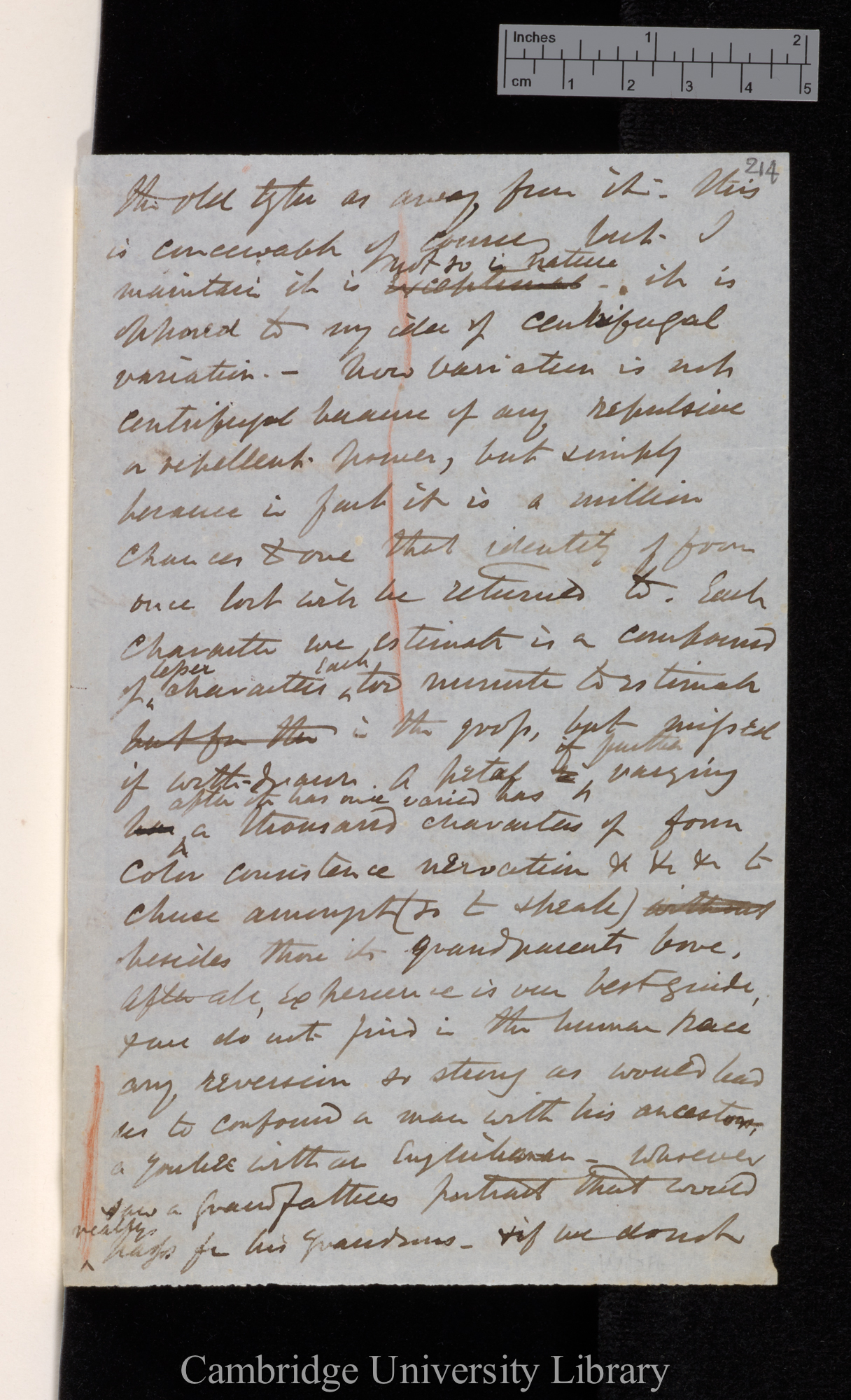 [Sir Joseph Dalton Hooker] to Charles Robert Darwin