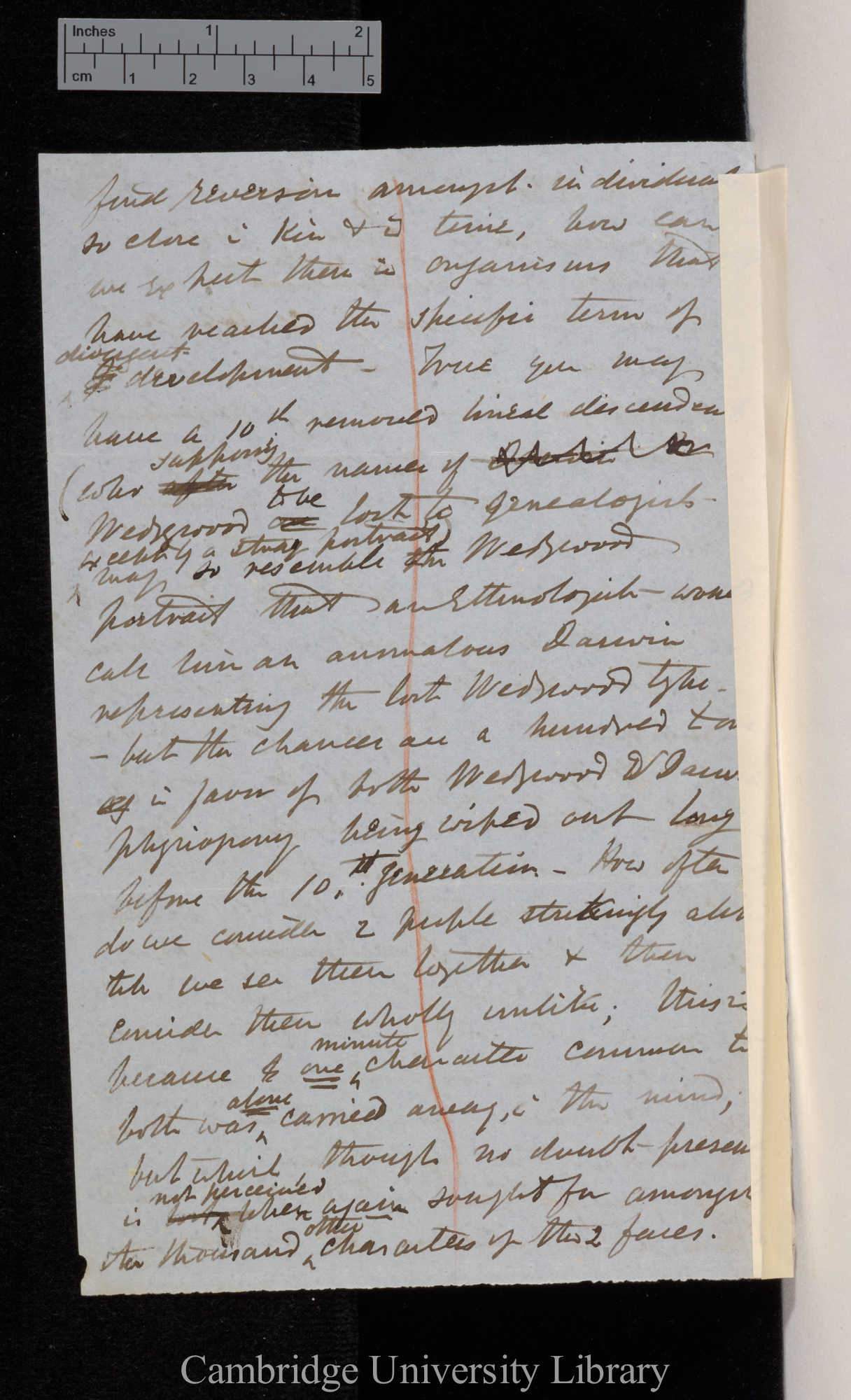 [Sir Joseph Dalton Hooker] to Charles Robert Darwin