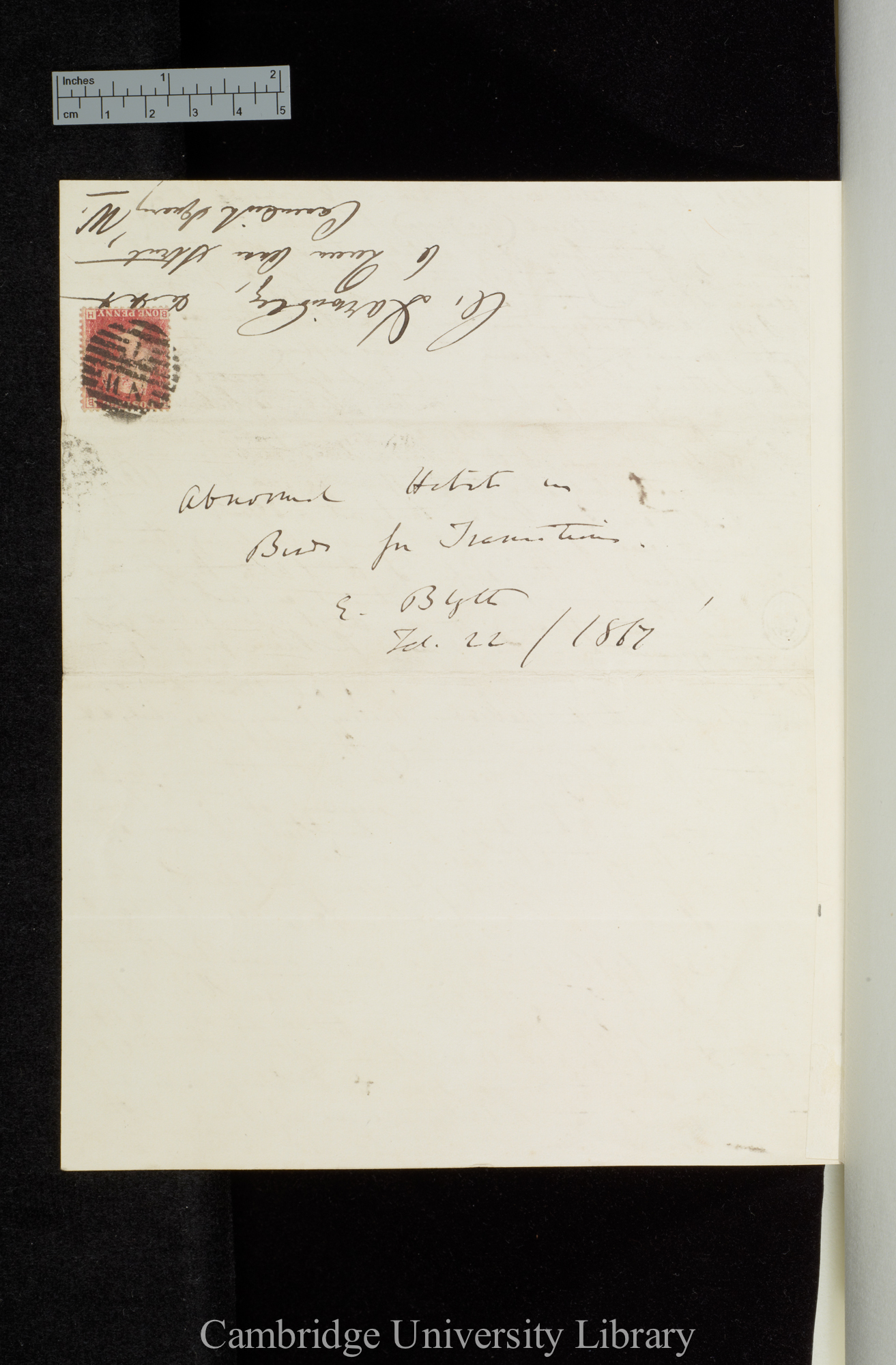 Edward Blyth to Charles Robert Darwin