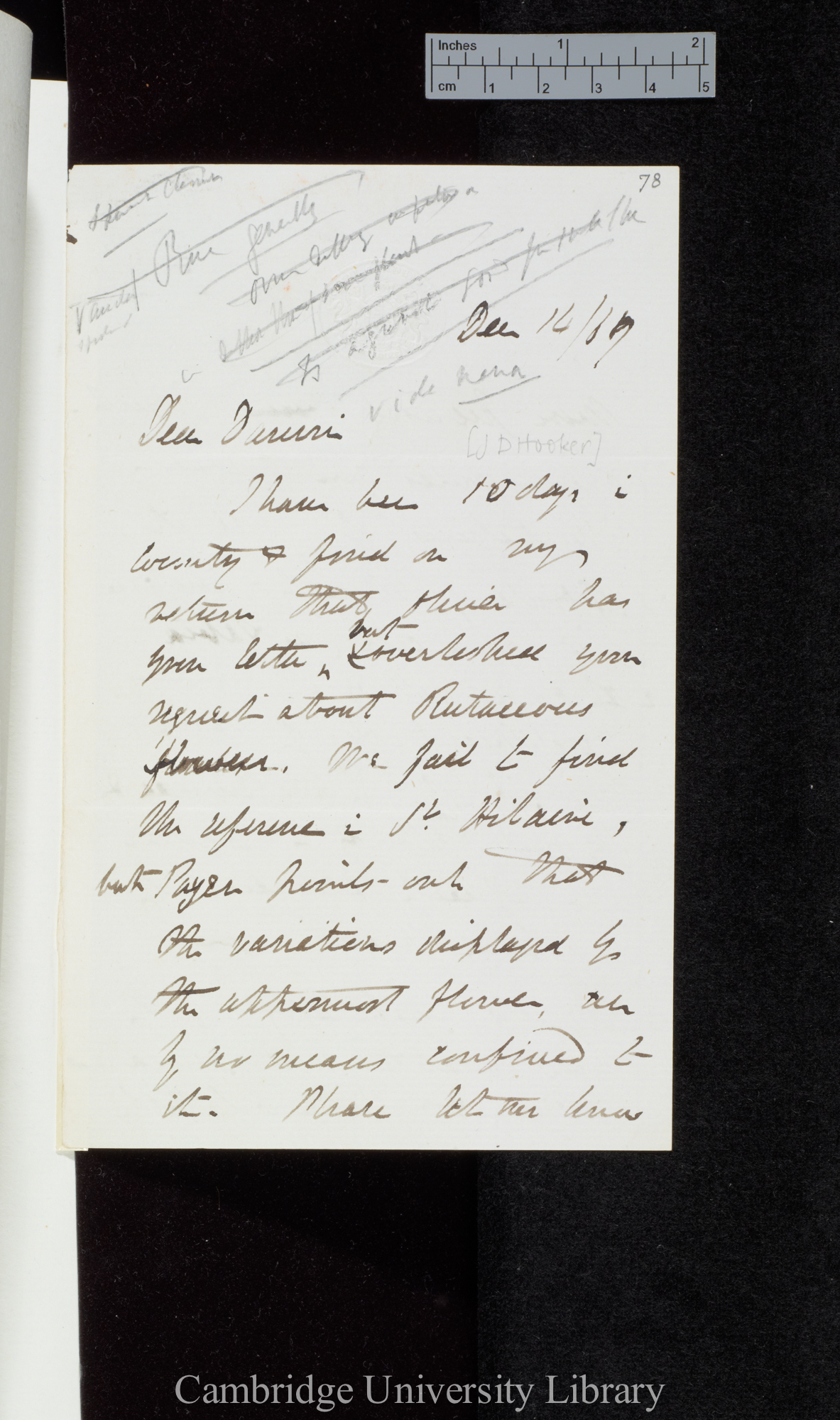 Sir Joseph Dalton Hooker to Charles Robert Darwin