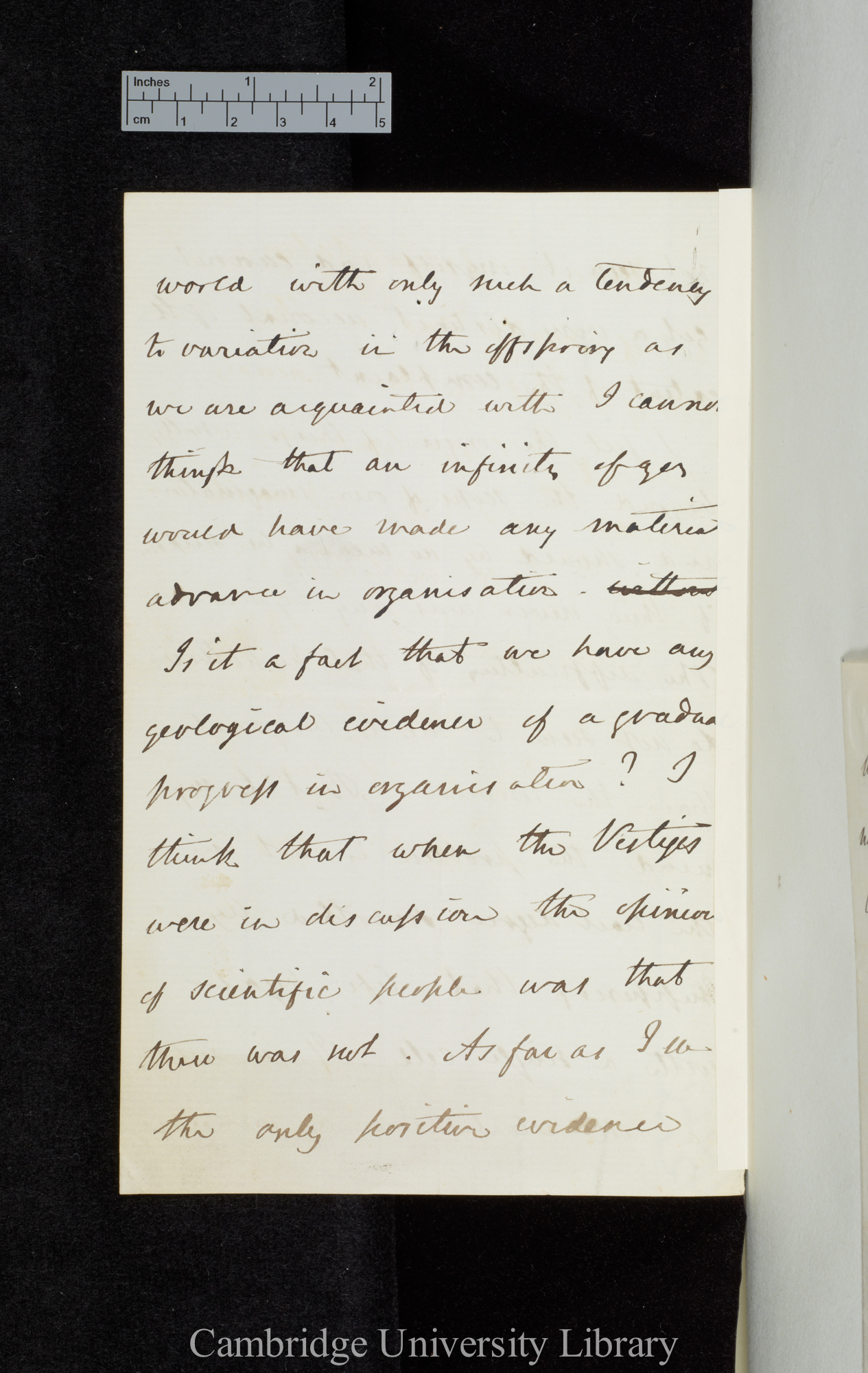 Hensleigh Wedgwood to Charles Robert Darwin