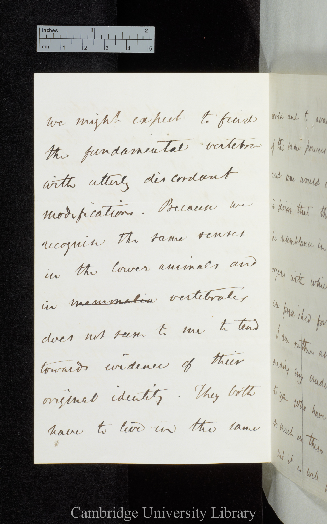 Hensleigh Wedgwood to Charles Robert Darwin