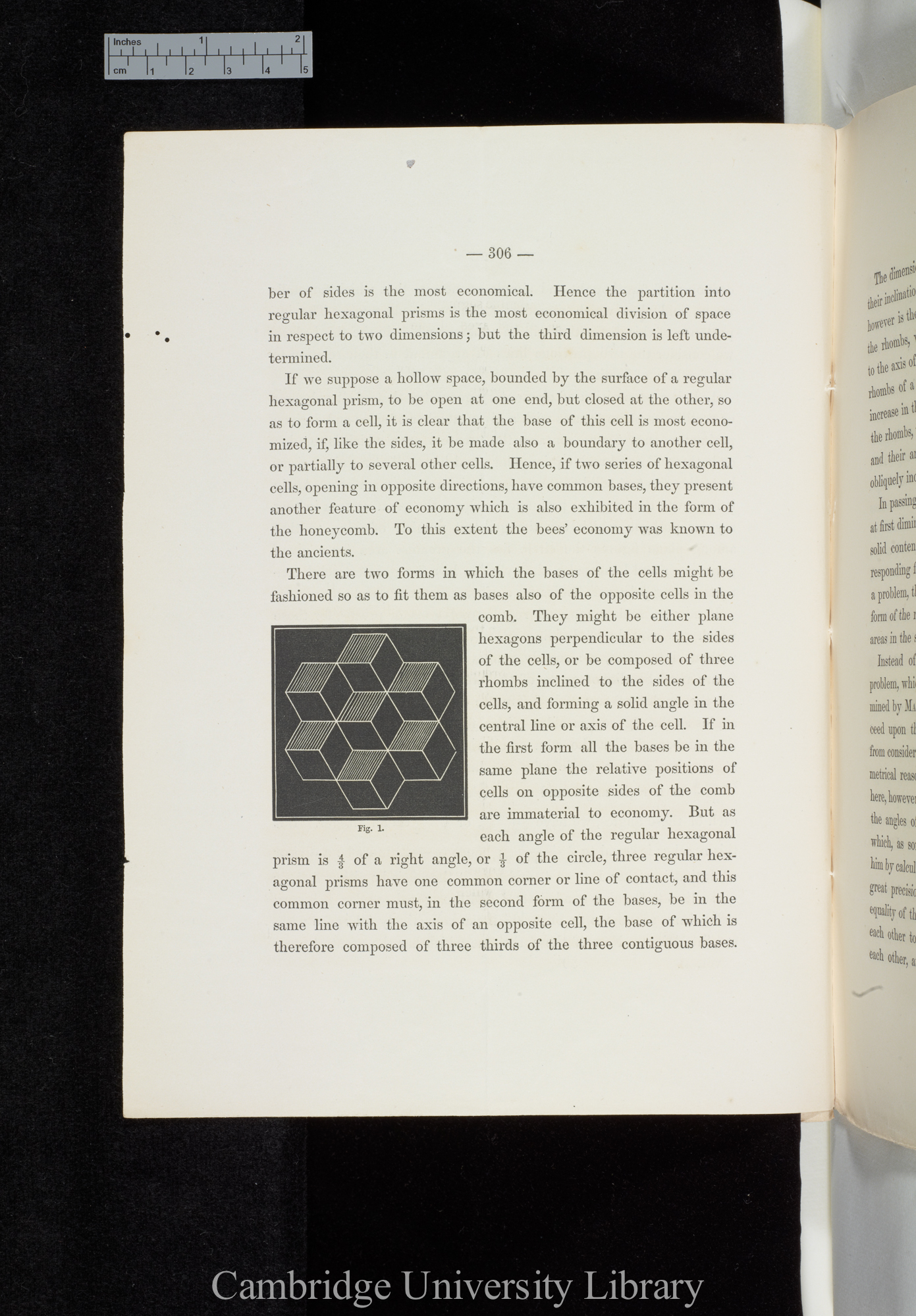 Wright, Chauncey. The economy and symmetry of the honey-bees&#39; cells &#39;Mathematical Monthly&#39; 2: 306