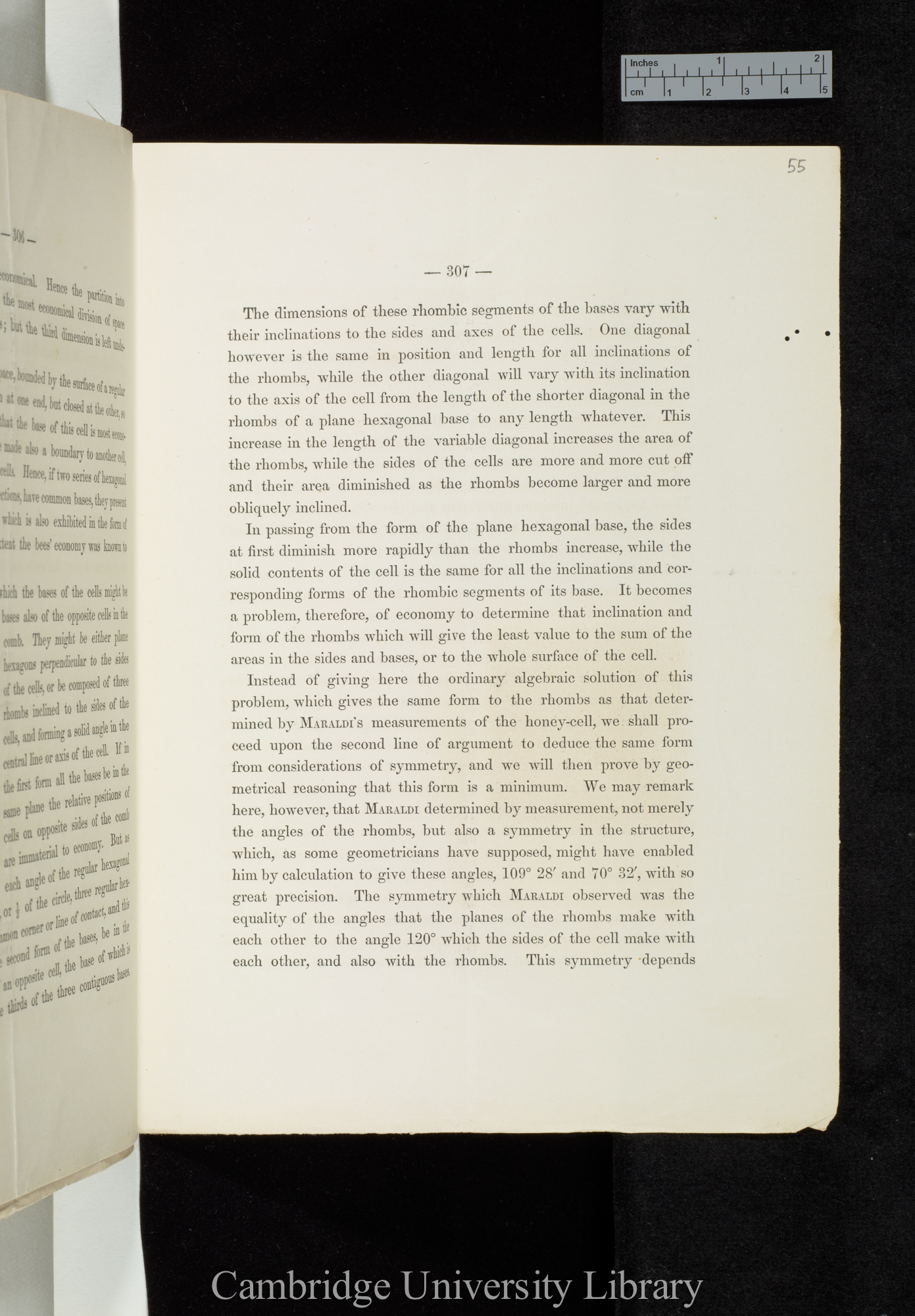 Wright, Chauncey. The economy and symmetry of the honey-bees&#39; cells &#39;Mathematical Monthly&#39; 2: 307