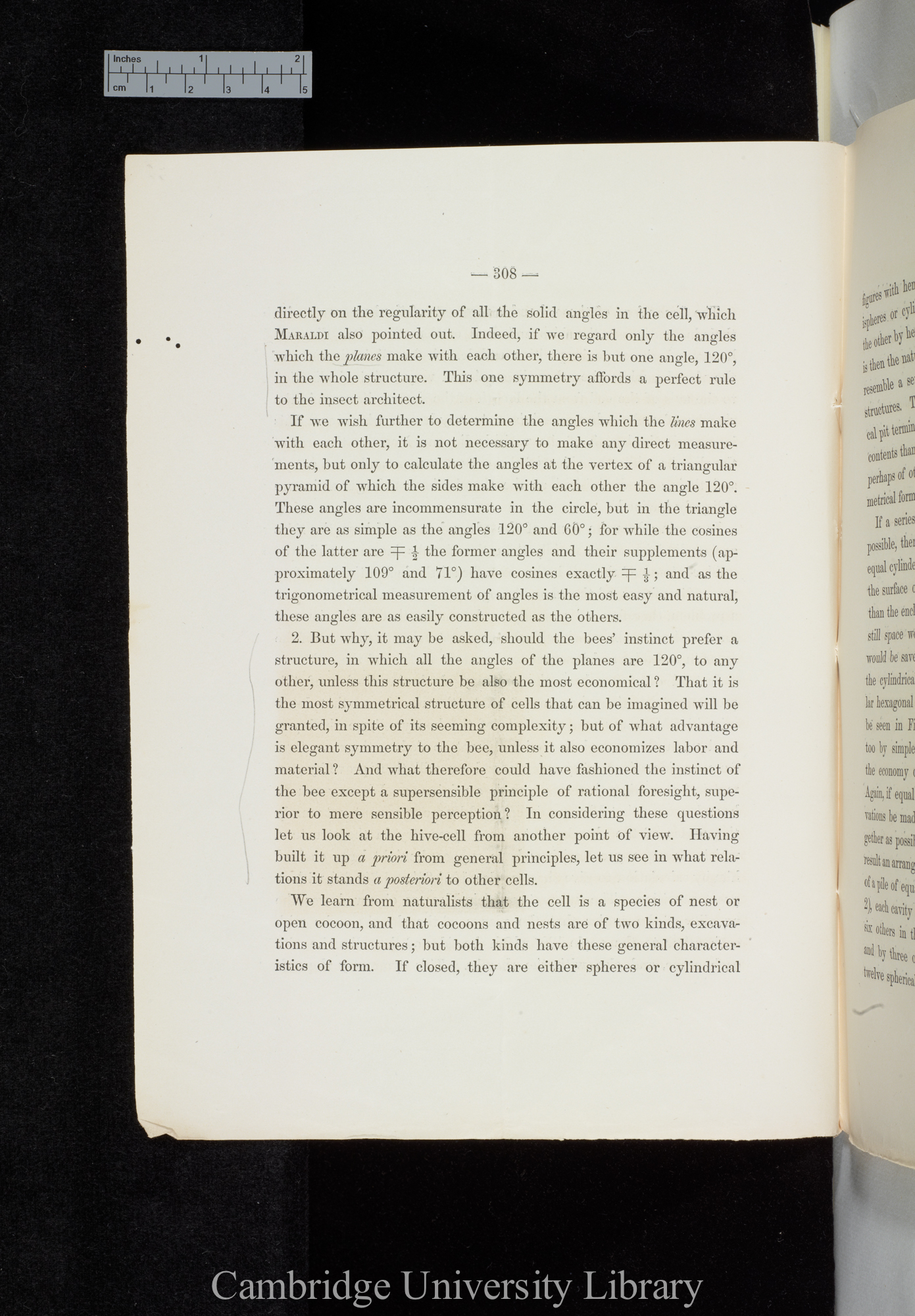 Wright, Chauncey. The economy and symmetry of the honey-bees&#39; cells &#39;Mathematical Monthly&#39; 2: 308