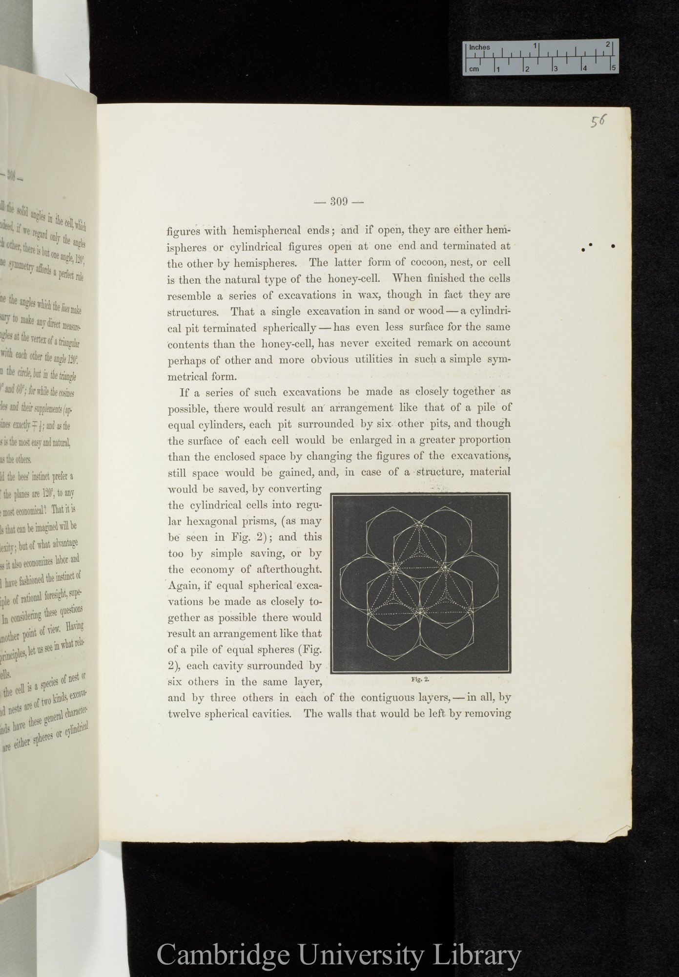 Wright, Chauncey. The economy and symmetry of the honey-bees&#39; cells &#39;Mathematical Monthly&#39; 2: 309