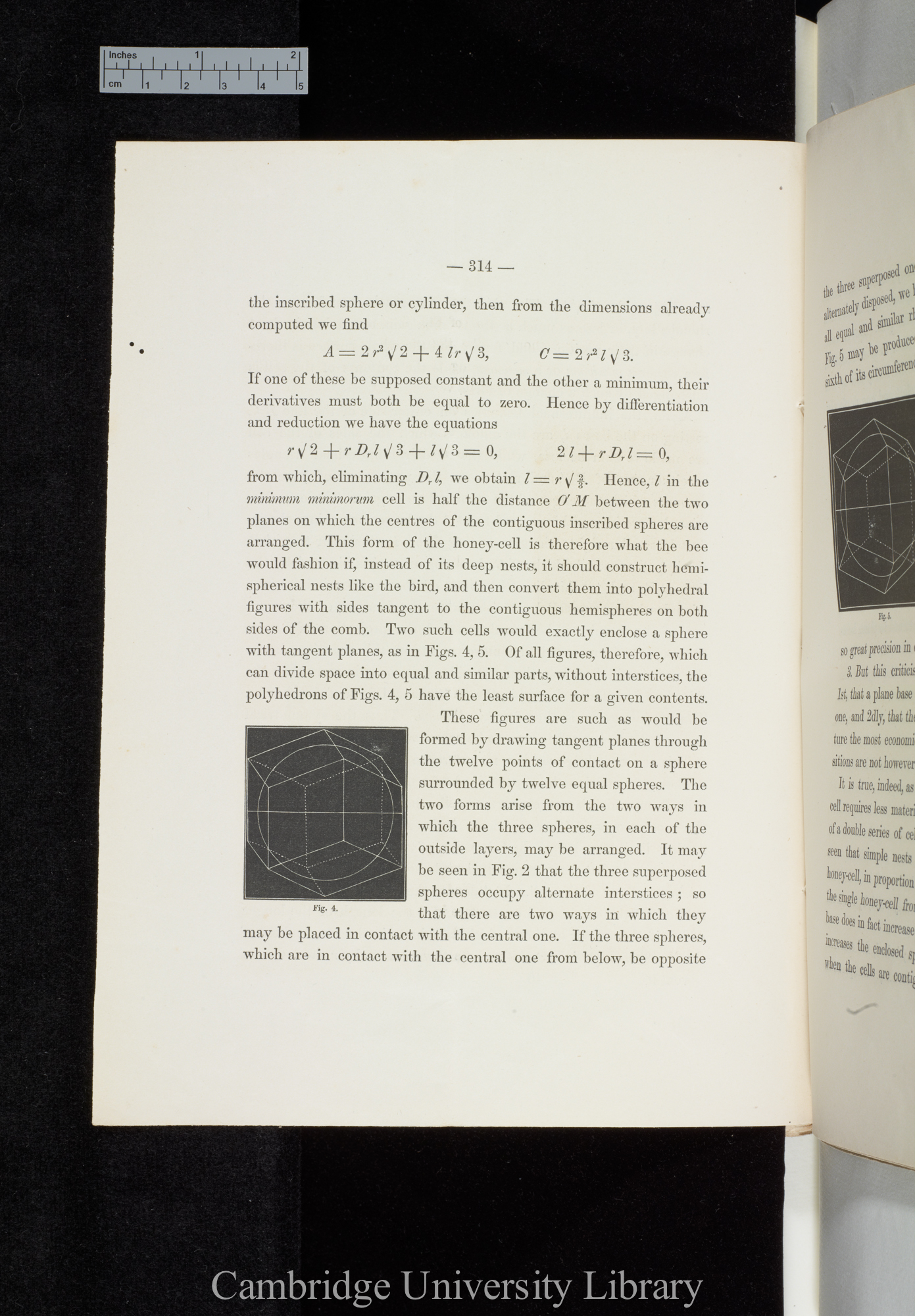 Wright, Chauncey. The economy and symmetry of the honey-bees&#39; cells &#39;Mathematical Monthly&#39; 2: 314