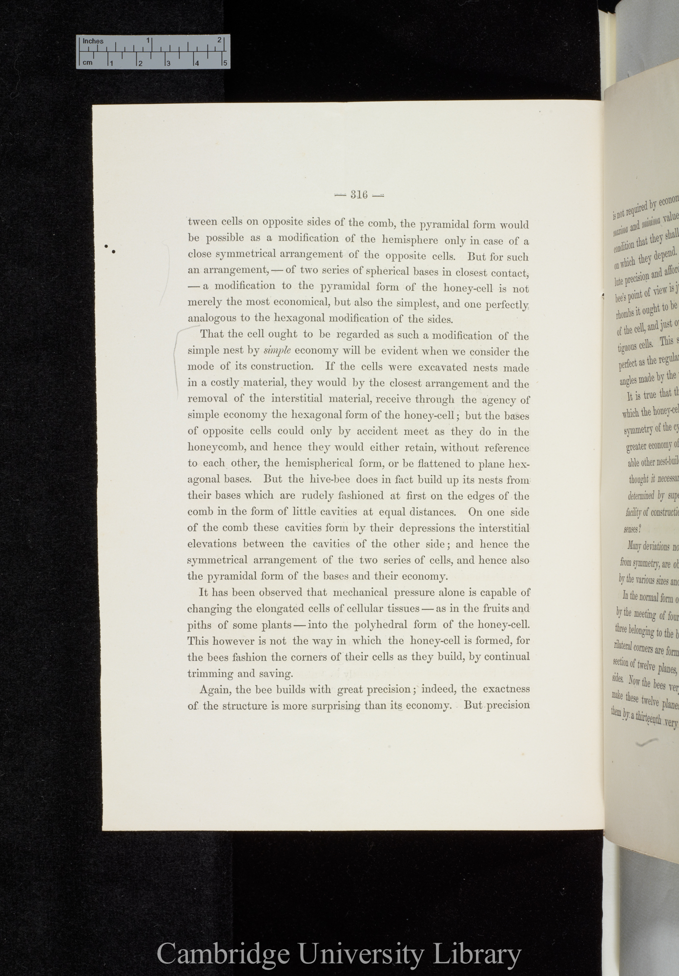 Wright, Chauncey. The economy and symmetry of the honey-bees&#39; cells &#39;Mathematical Monthly&#39; 2: 316