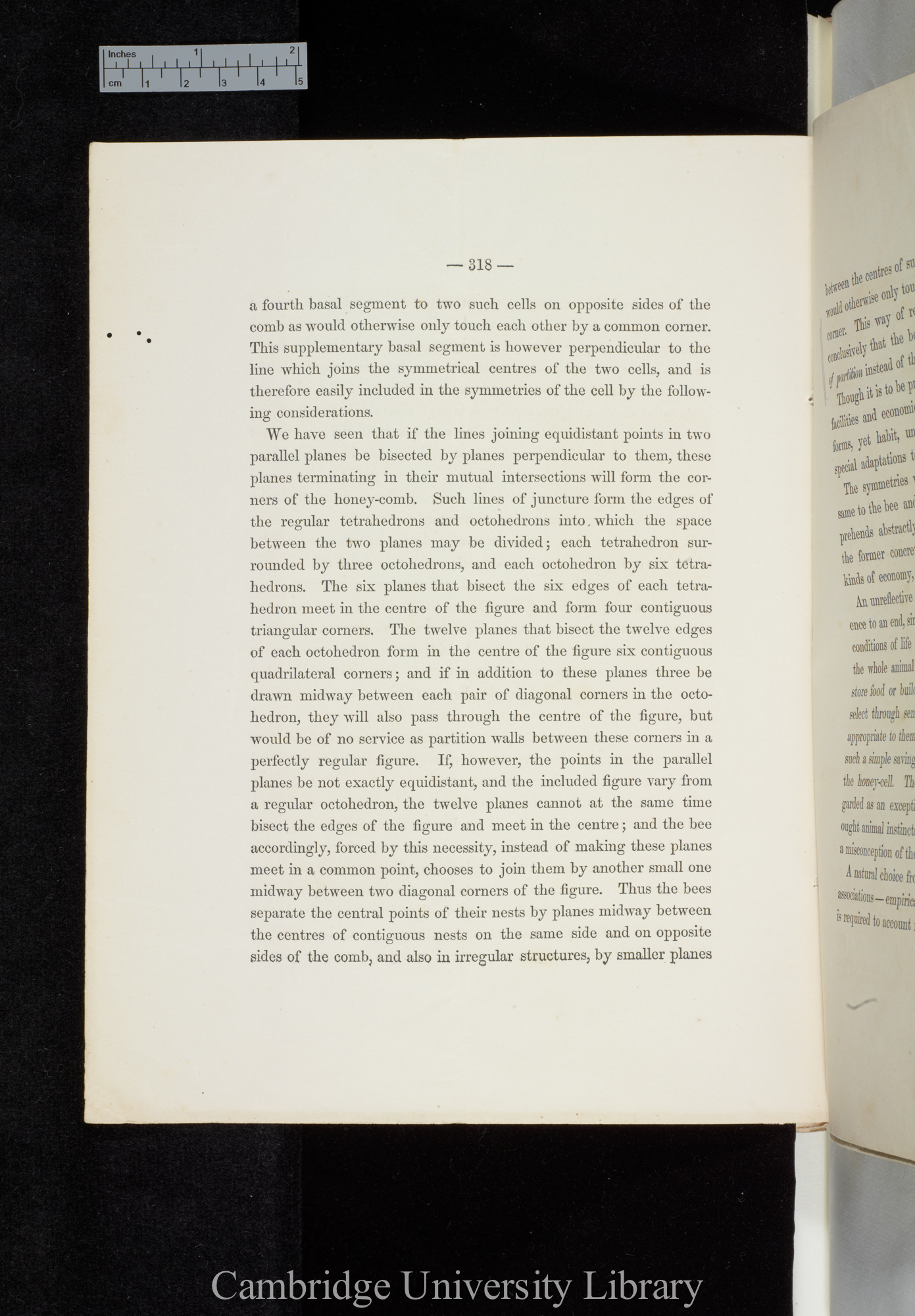 Wright, Chauncey. The economy and symmetry of the honey-bees&#39; cells &#39;Mathematical Monthly&#39; 2: 318