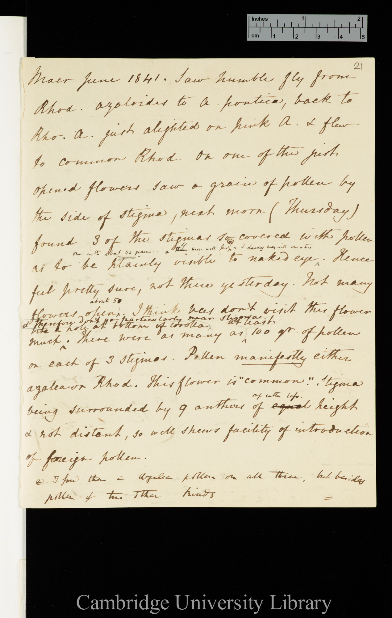 Fertilisation of Flowers 1841-13r, Rhododendron &amp; Azalea