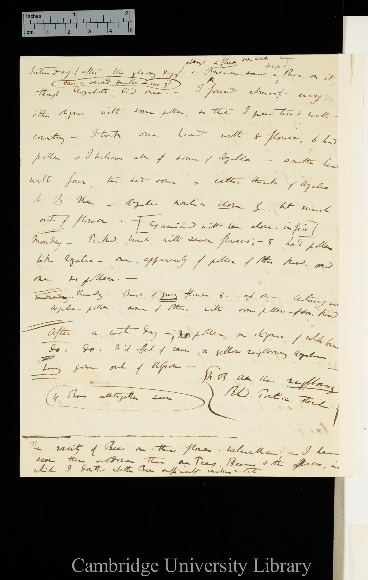 Fertilisation of Flowers 1841-13v, Rhododendron &amp; Azalea contd.