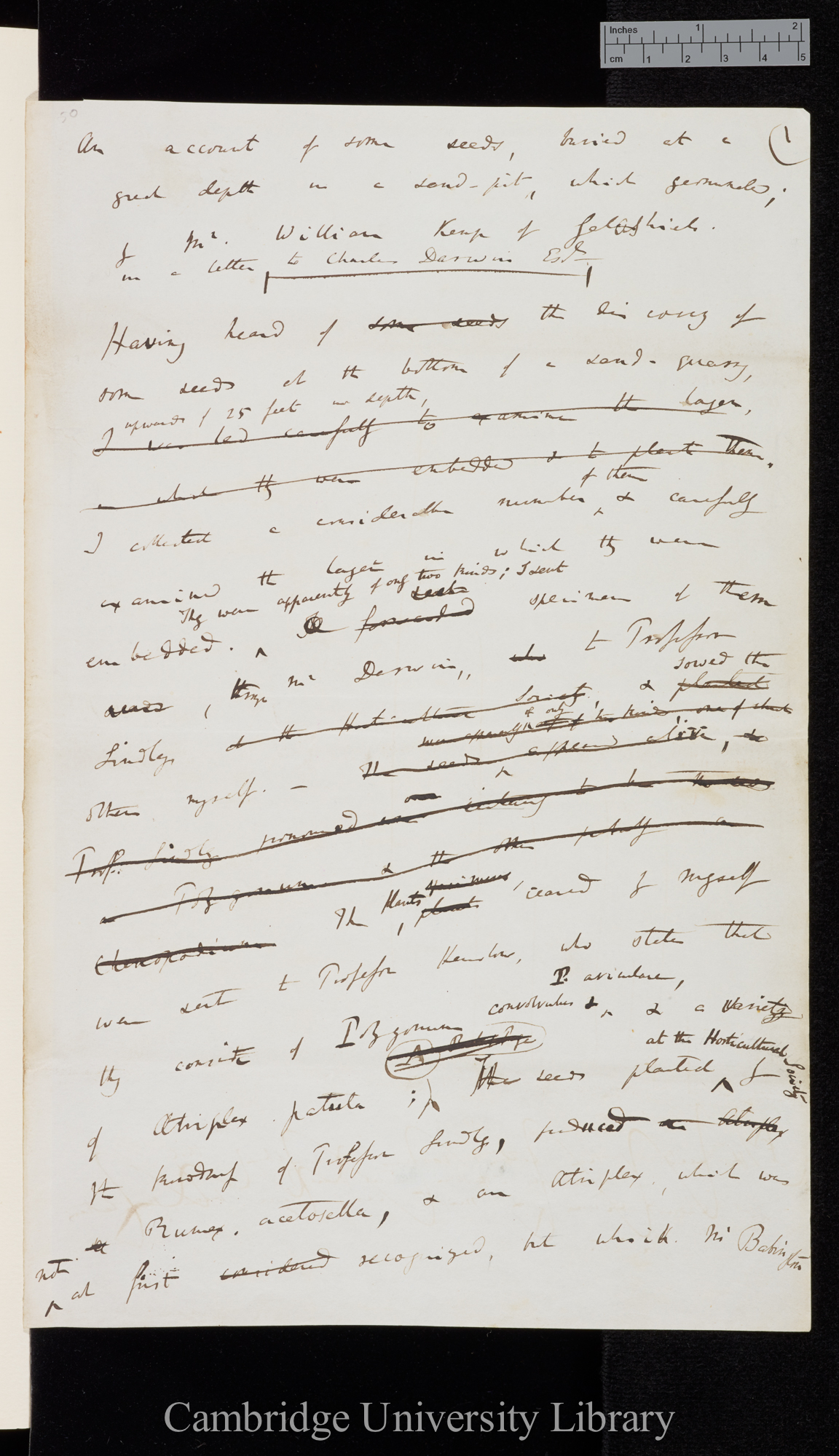 Draft of &#39;An account of some seeds buried at a great depth in a sand-pit, which germinated; by Mr William Kemp of Galashiels in a letter to Charles Darwin Esqr&#39; Ann. Mag. Nat. Hist. 13: 89-91, Ms p 1