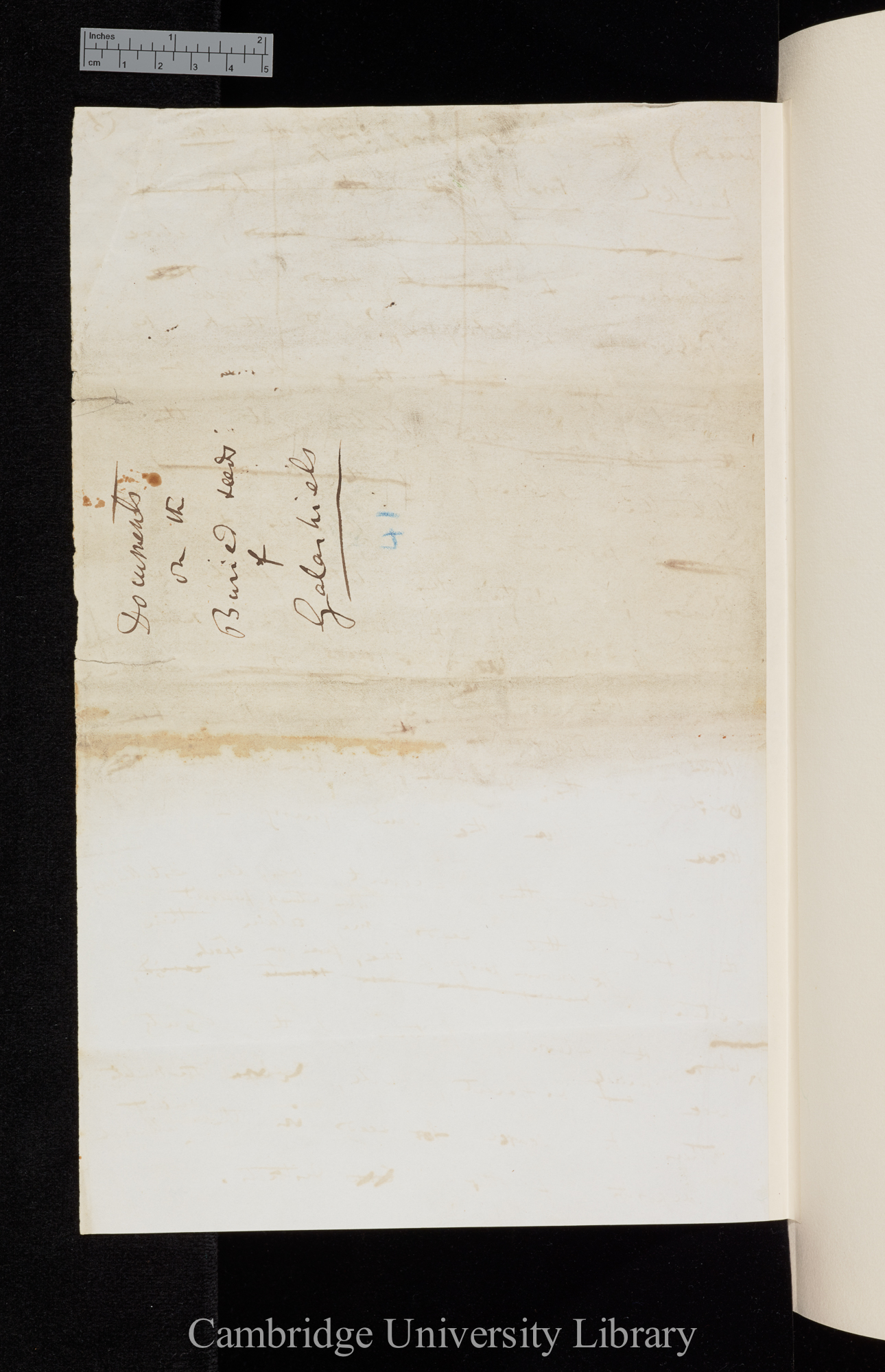 Draft Ann. Mag. Nat. Hist. 13: 89-91, Ms p 6 verso