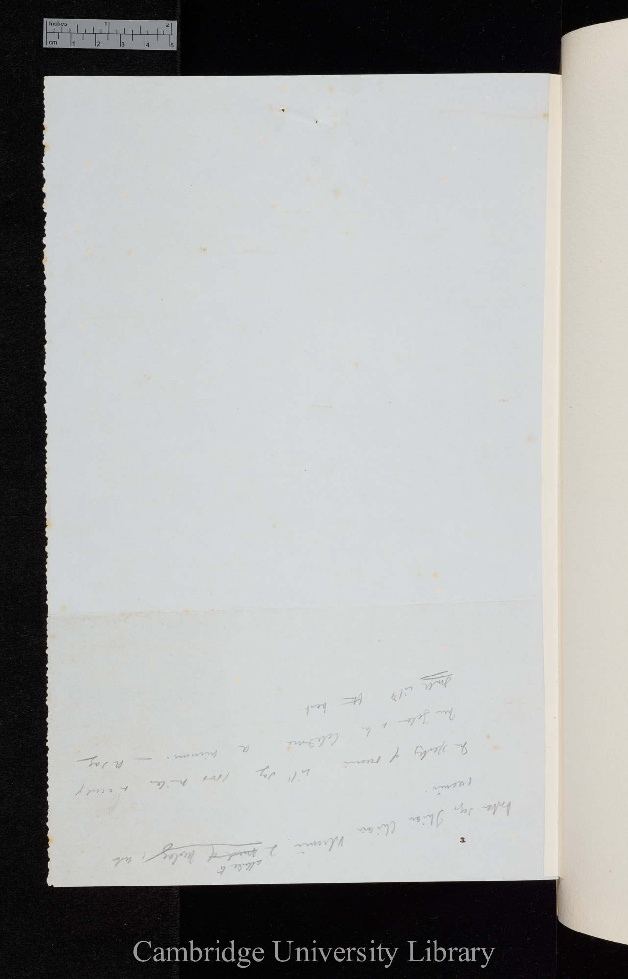 Charles Robert Darwin to Sir Charles Lyell, Ms p 1 verso