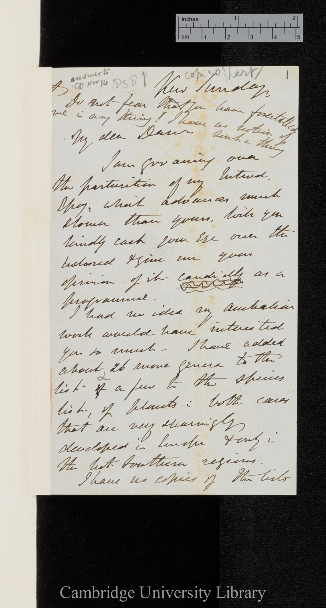 Sir Joseph Dalton Hooker to Charles Robert Darwin