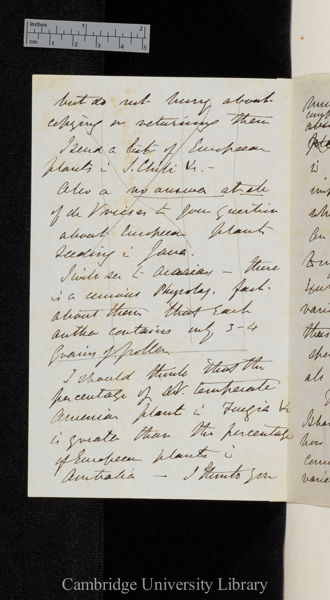 Sir Joseph Dalton Hooker to Charles Robert Darwin