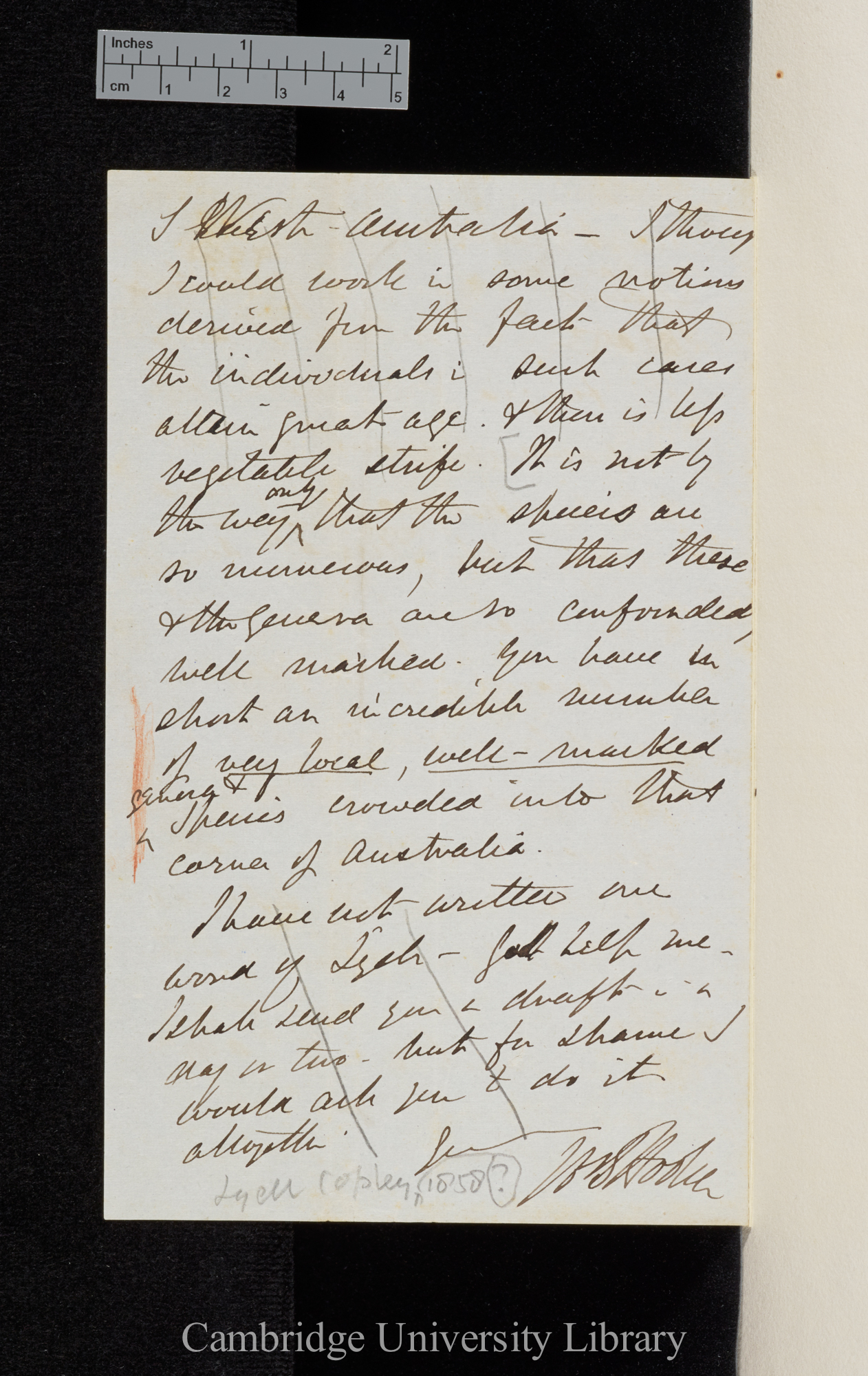 Sir Joseph Dalton Hooker to Charles Robert Darwin