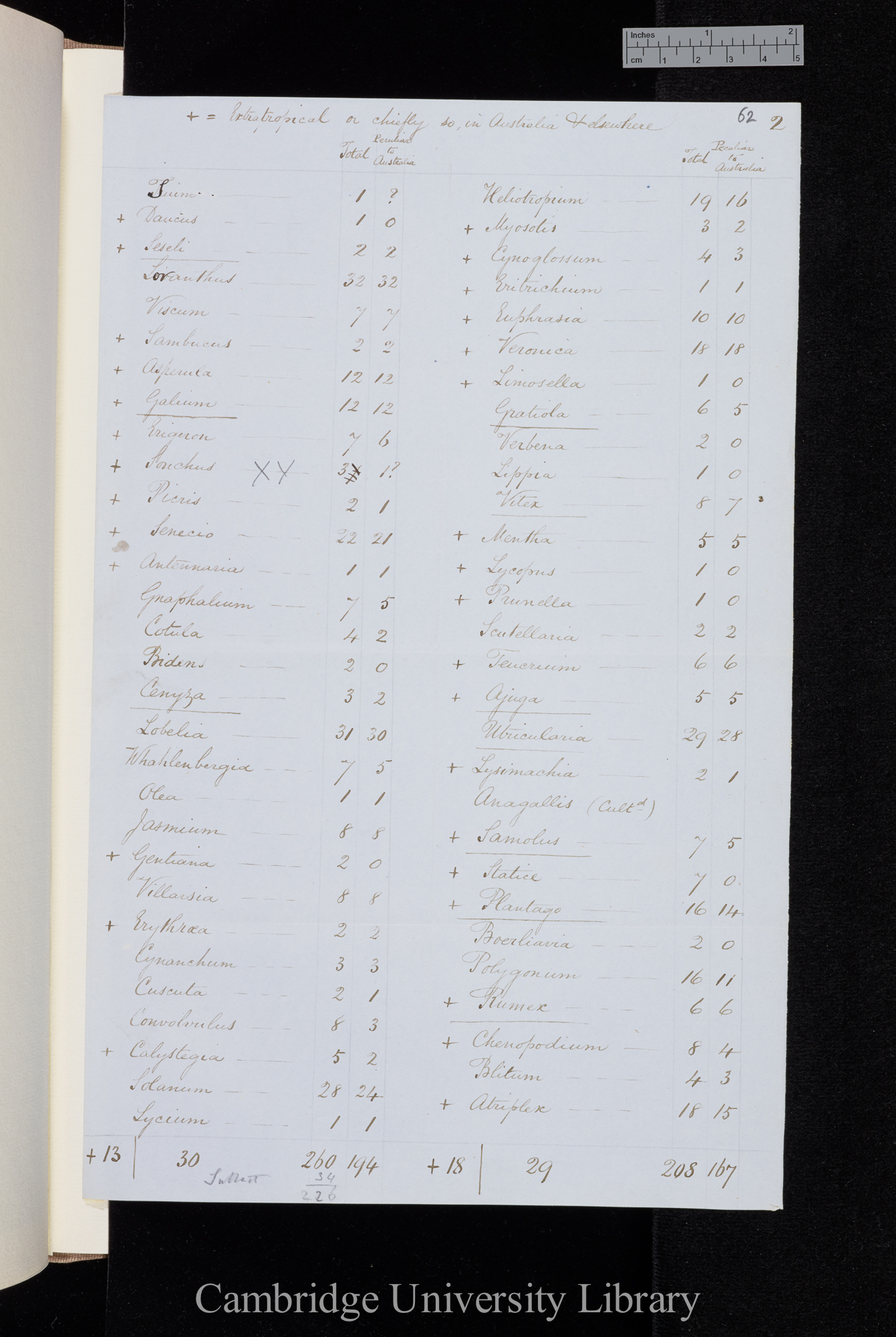 European Genera in Australia and Tasmania [table of species and numbers]