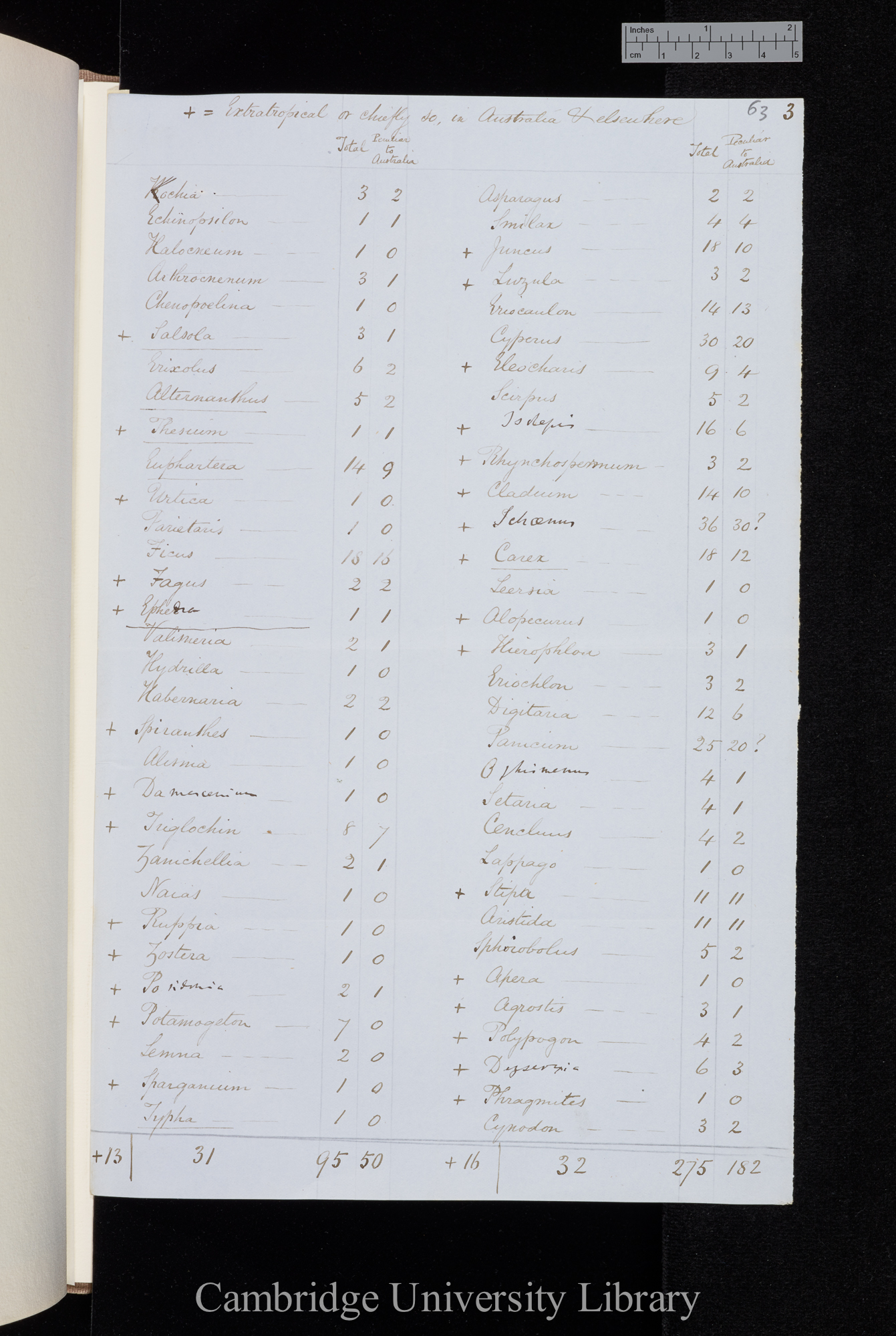 European Genera in Australia and Tasmania [table of species and numbers]