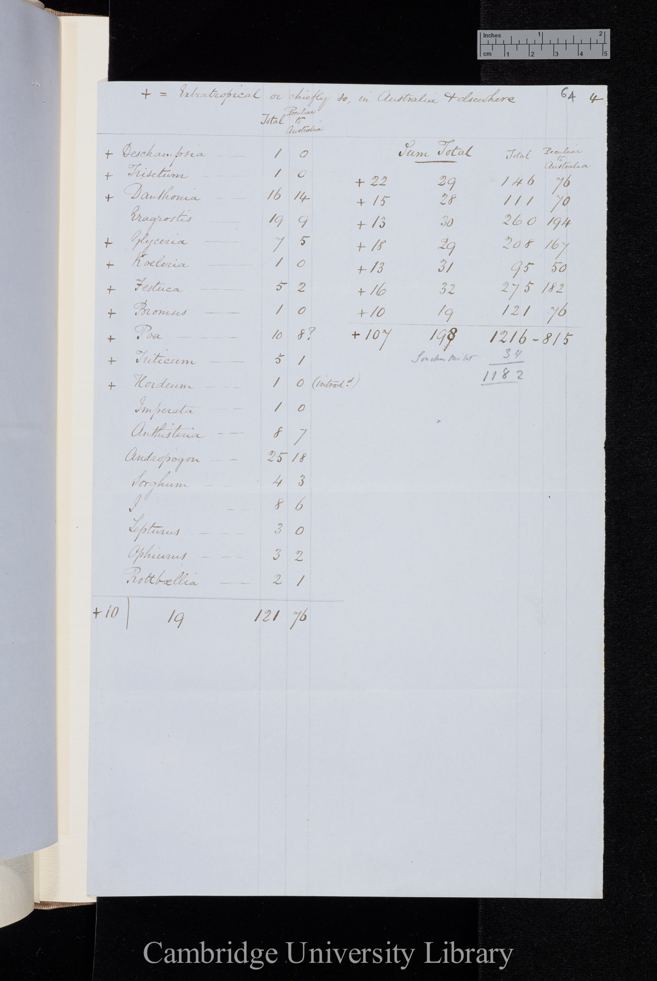 European Genera in Australia and Tasmania [table of species and numbers]