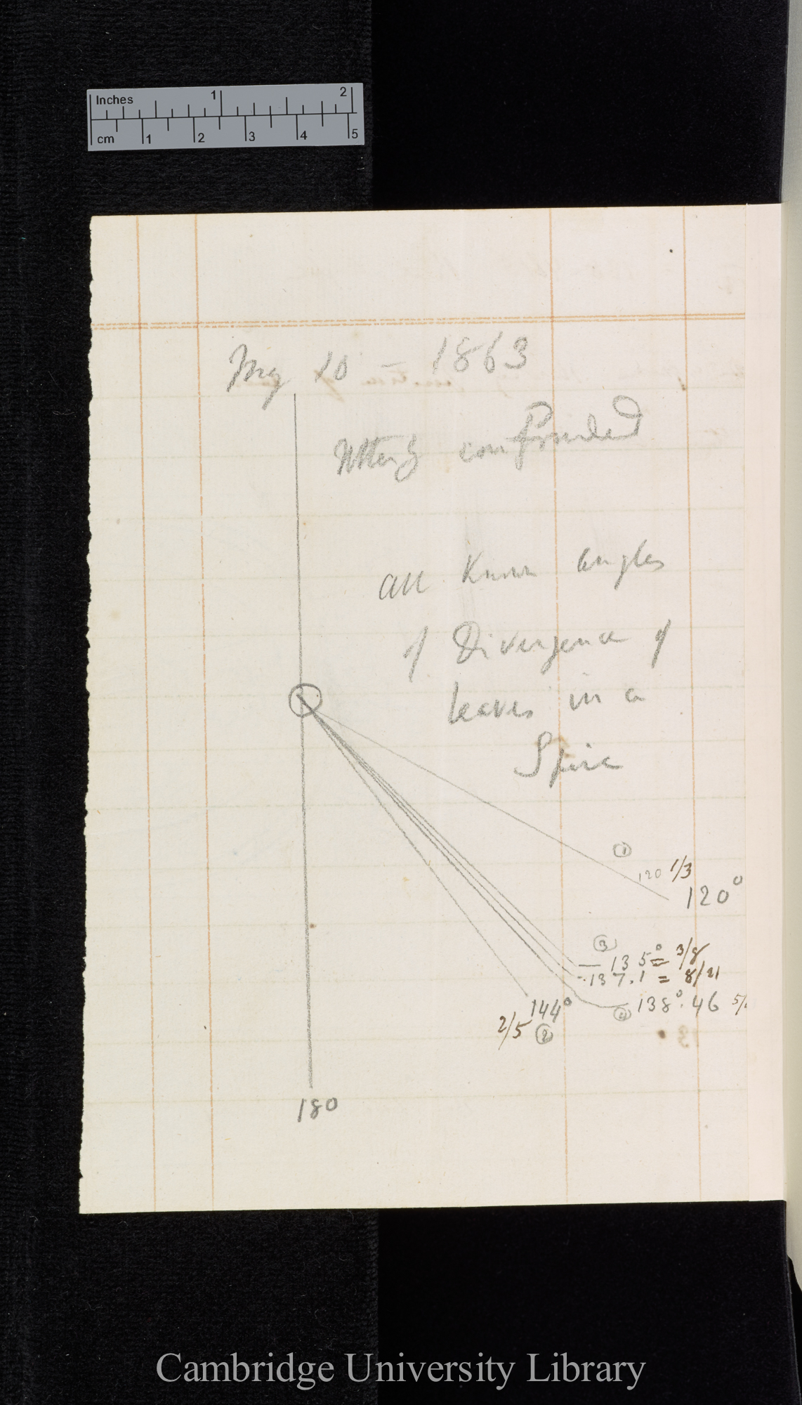 Real angle / 5/13 / Diagram showing position of leaves