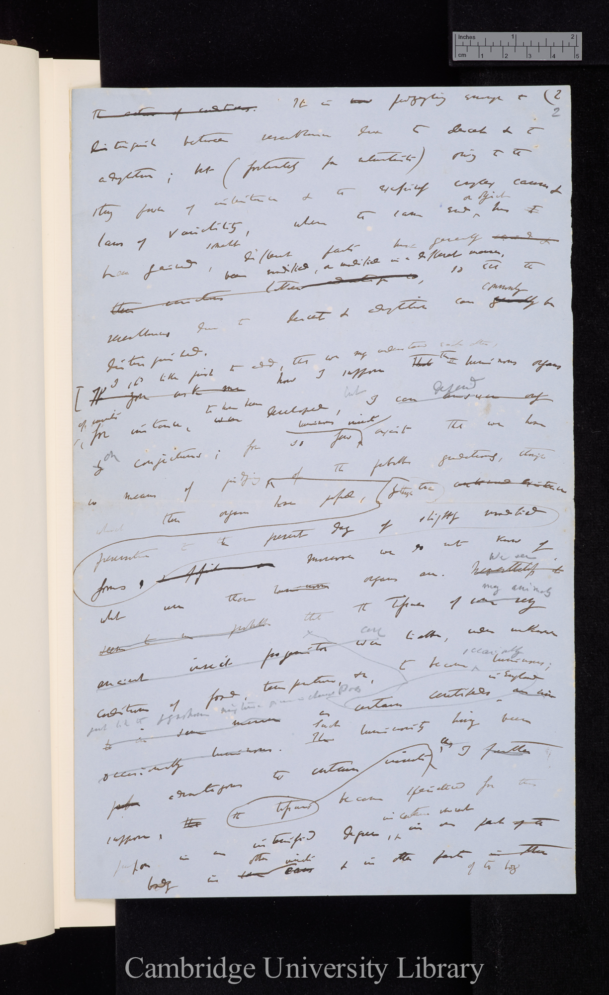 Charles Robert Darwin to George Henry Lewes