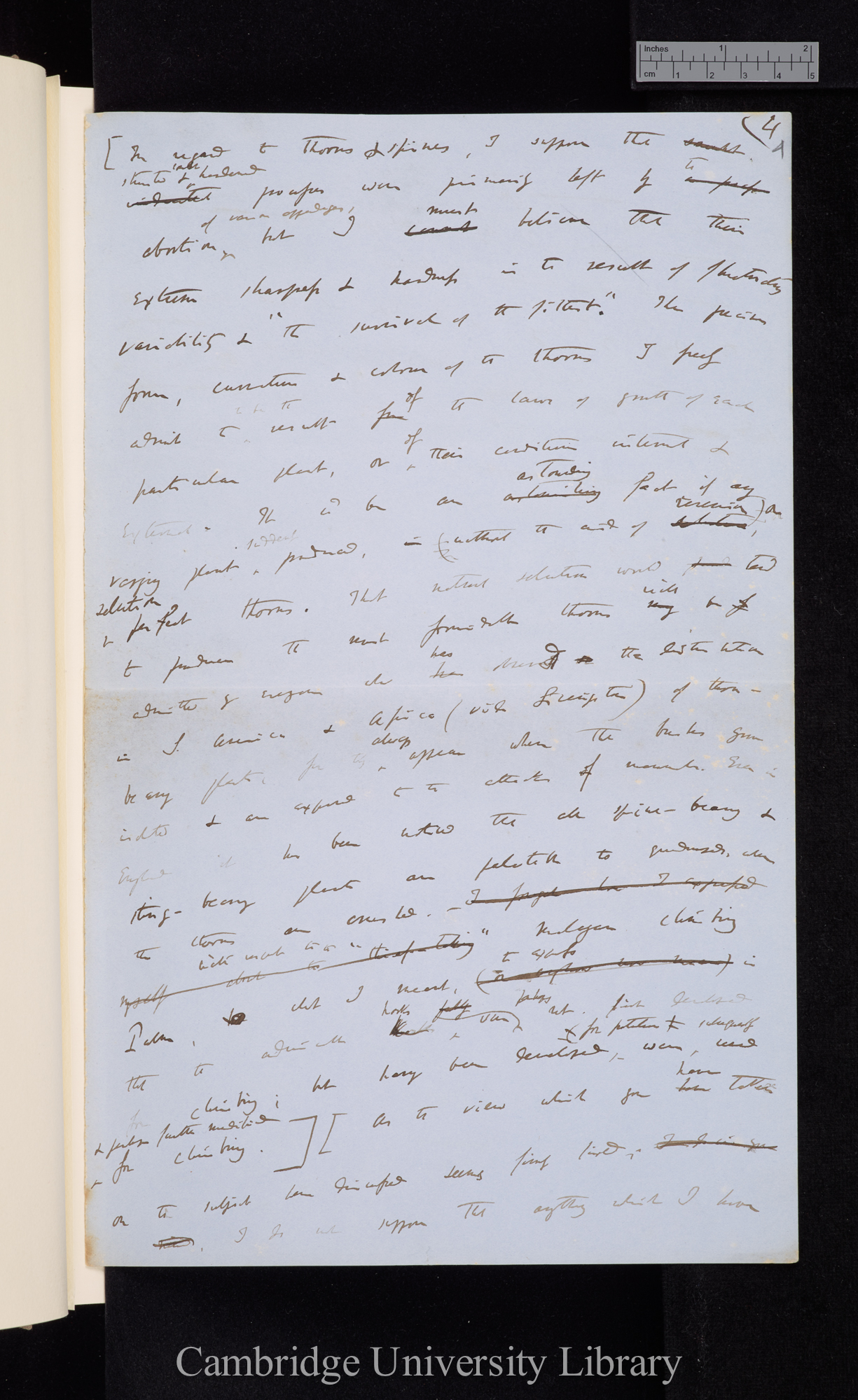 Charles Robert Darwin to George Henry Lewes