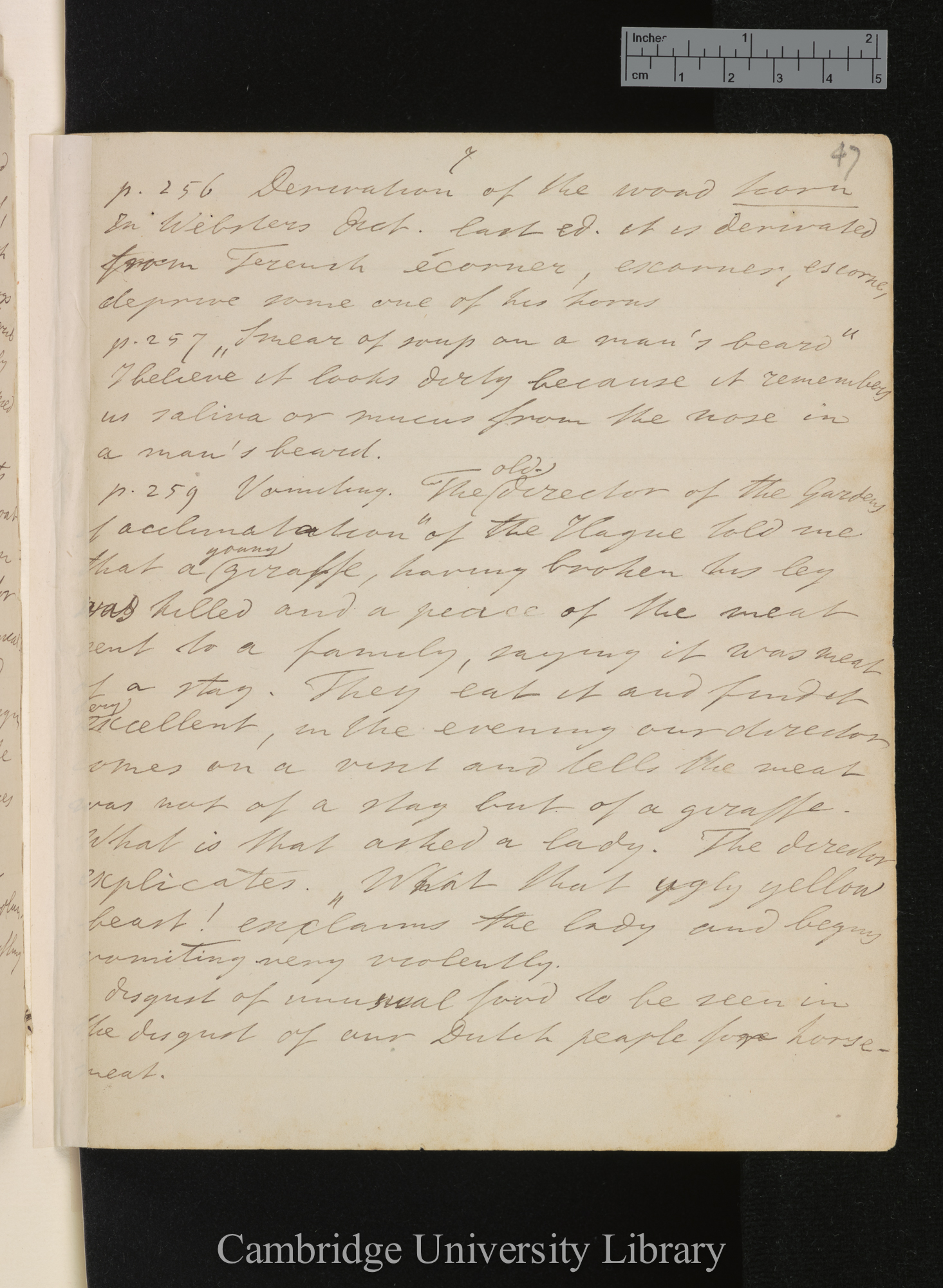 [Hermanus Hartogh Heijs van Zouteveen] to Charles Robert Darwin