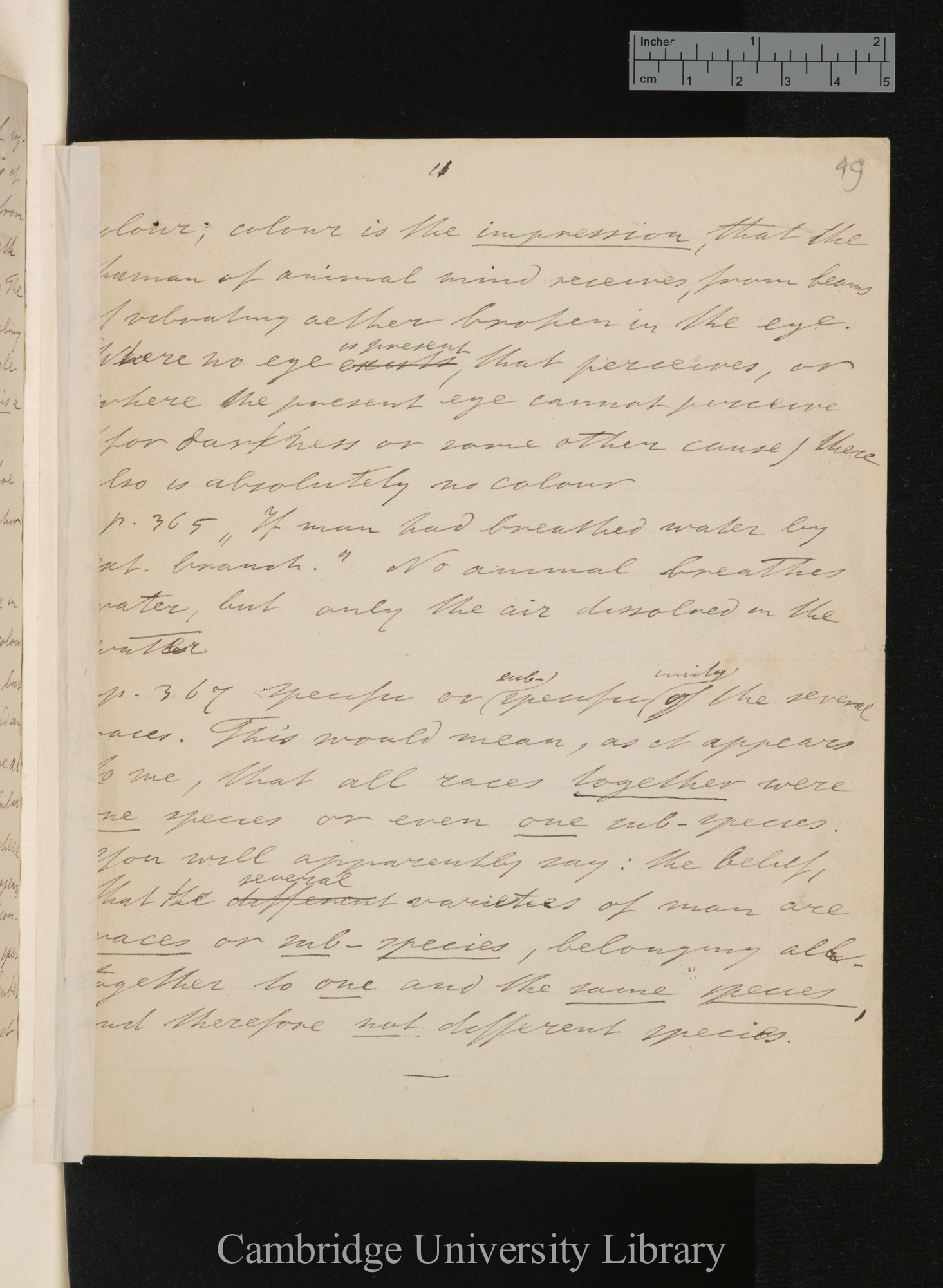 [Hermanus Hartogh Heijs van Zouteveen] to Charles Robert Darwin