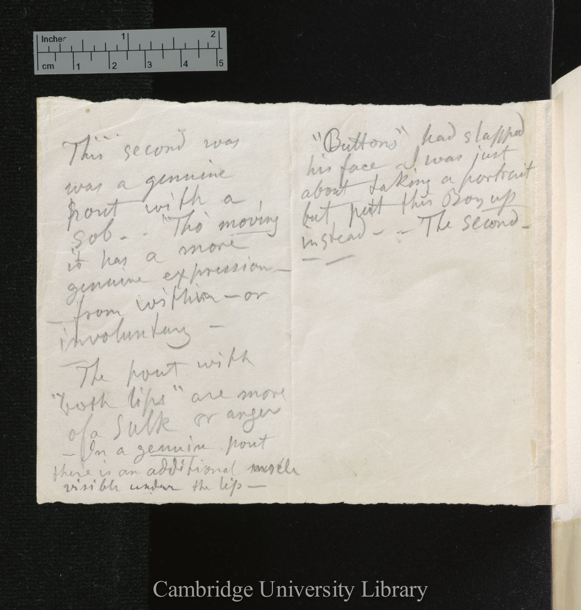 [verso of photograph]; annotated by (?)