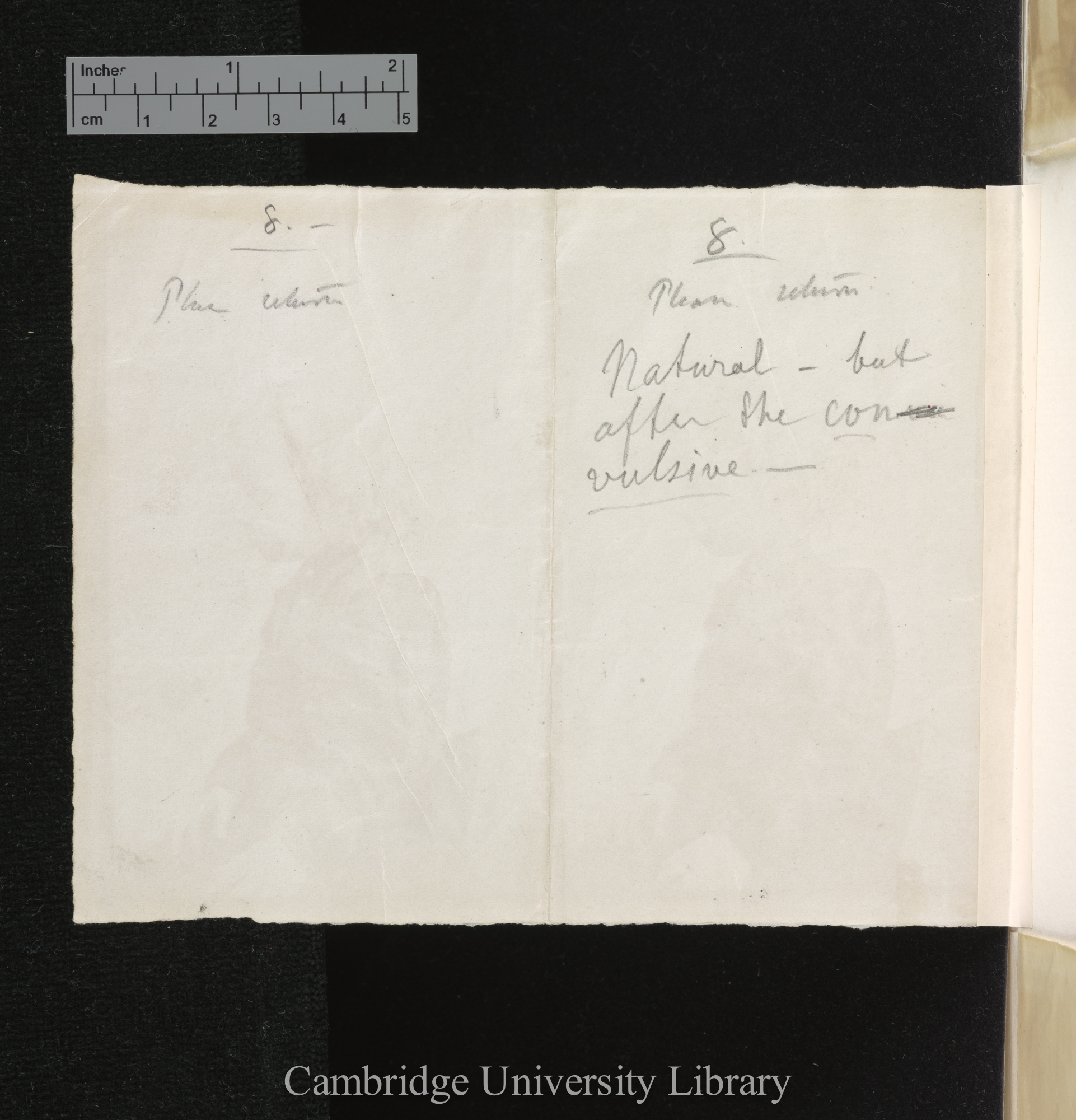 [verso of photograph]; annotated by Charles Robert Darwin &amp; (?)