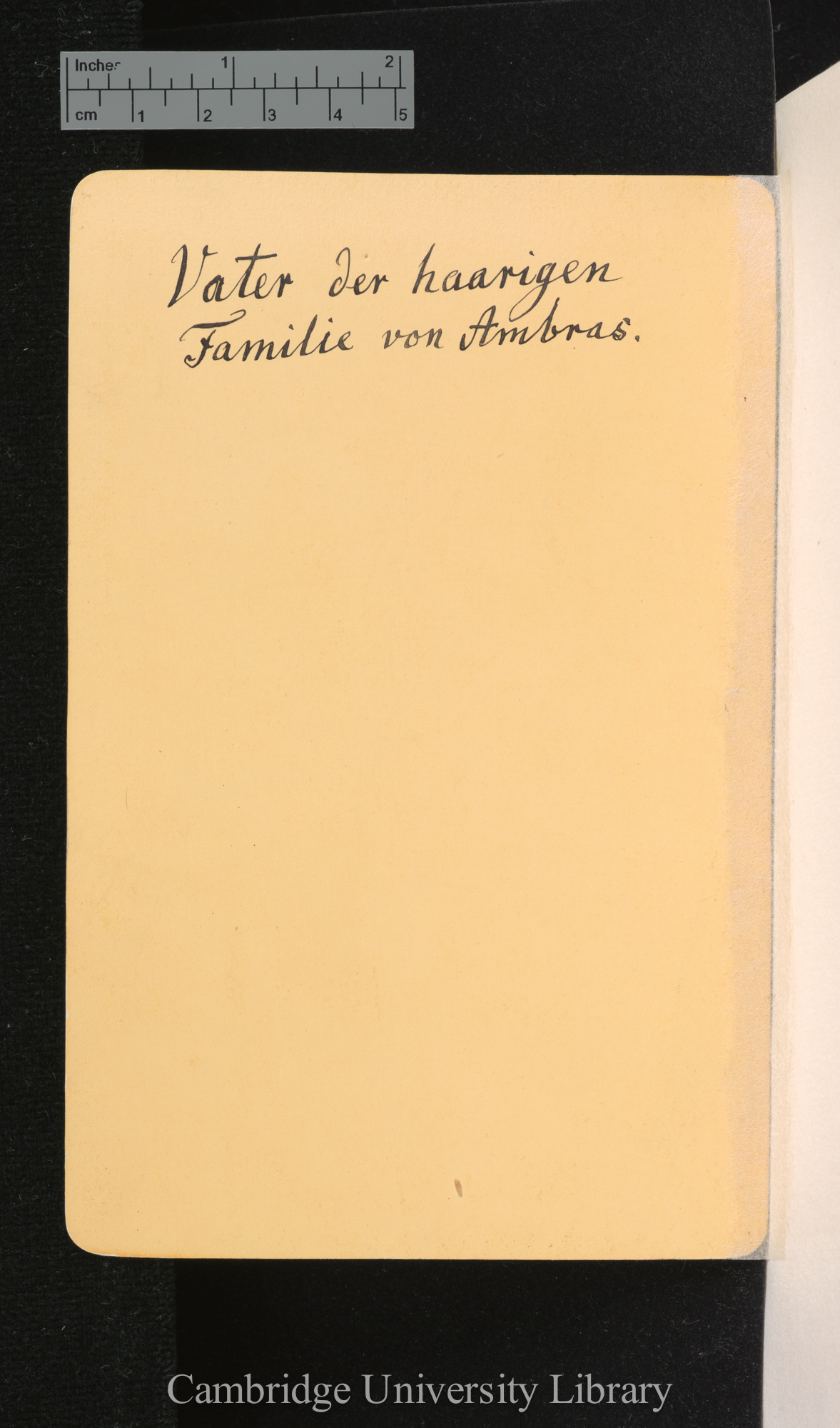 [verso of photograph - caption]