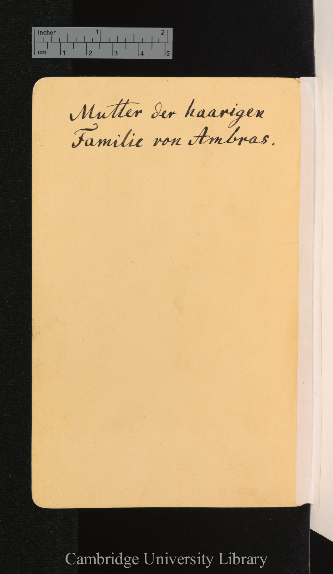 [verso of photograph - caption]