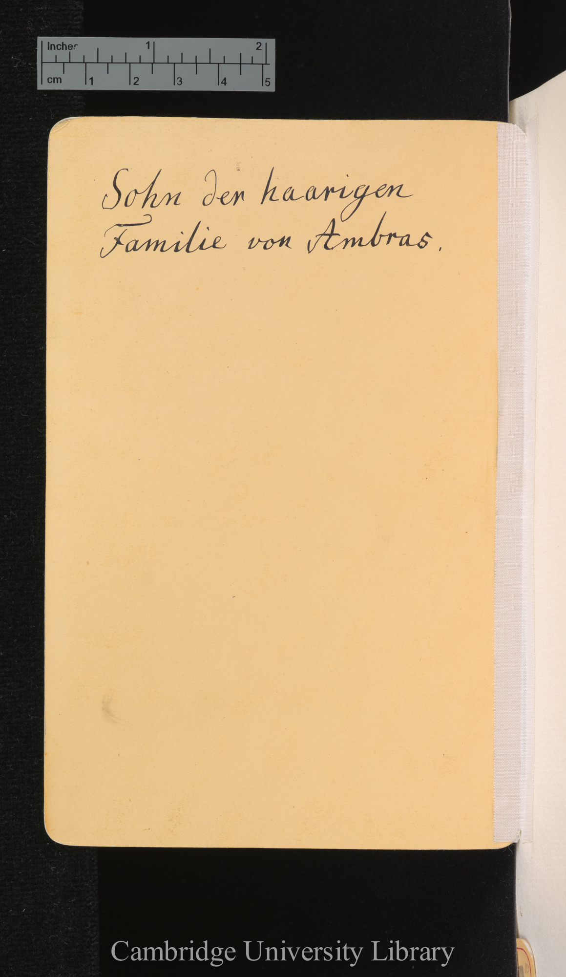 [verso of photograph - caption]