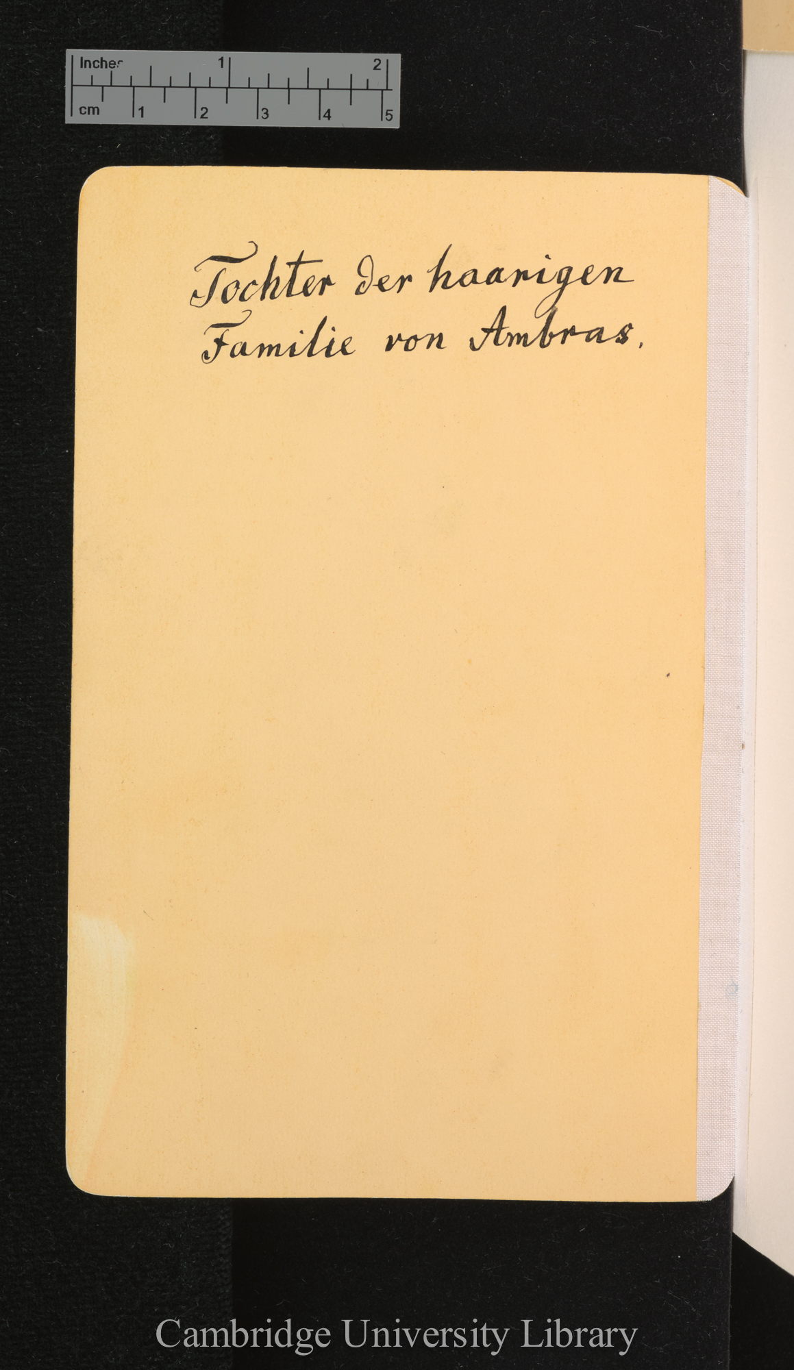 [verso of photograph - caption]