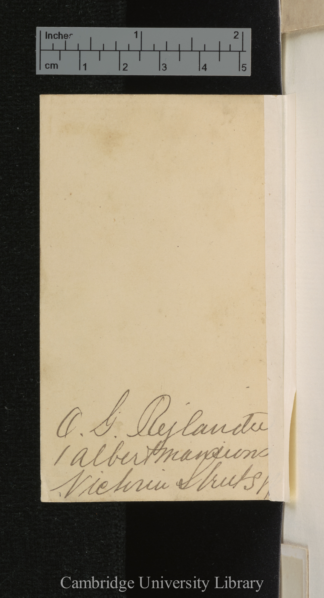 [verso of photograph - photographer signature (O G Rejlander)]