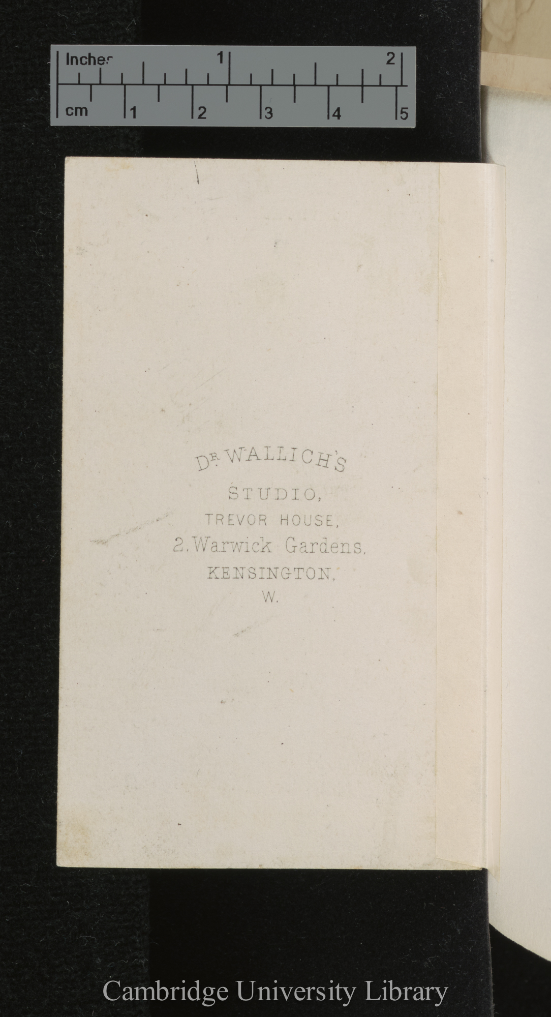 [verso of photograph - photographer imprint (Dr Wallich)]